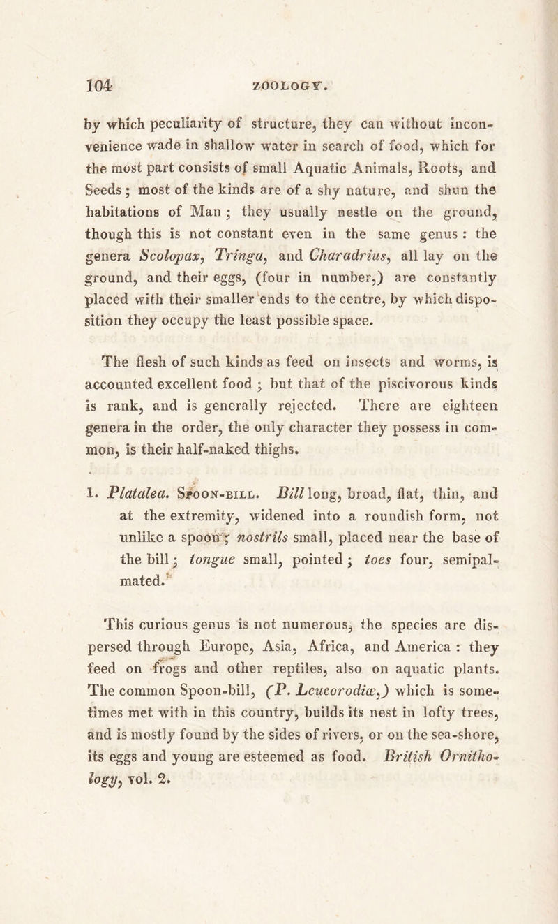 by which peculiarity of structure, they can without incon- venience wade in shallow water in search of food, which for the most part consists of small Aquatic Animals, Roots, and Seeds ; most of the kinds are of a shy nature, and shun the habitations of Man ; they usually nestle on the ground, though this is not constant even in the same genus : the genera Scolopax, Tringa, and Charadrius, all lay on the ground, and their eggs, (four in number,) are constantly placed with their smaller ends to the centre, by which dispo- sition they occupy the least possible space. The flesh of such kinds as feed on insects and worms, is accounted excellent food ; but that of the piscivorous kinds is rank, and is generally rejected. There are eighteen genera in the order, the only character they possess in com- mon, is their half-naked thighs. 1* Platalea. Spoon-bill. Bill long, broad, flat, thin, and at the extremity, widened into a roundish form, not unlike a spoong nostrils small, placed near the base of the bill • tongue small, pointed ; toes four, semipal- mated. This curious genus is not numerous, the species are dis- persed through Europe, Asia, Africa, and America : they feed on frogs and other reptiles, also on aquatic plants. The common Spoon-bill, (P. Leucorodice,) which is some- times met with in this country, builds its nest in lofty trees, and is mostly found by the sides of rivers, or on the sea-shore, its eggs and young are esteemed as food. British Ornitho- logy^ vol. 2.