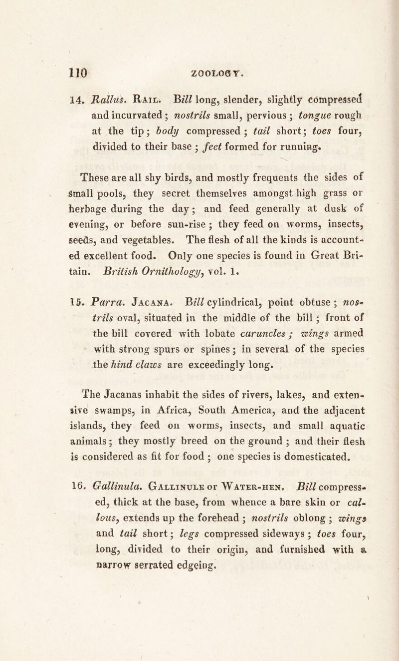 14. Rallus. Rail. Bill long, slender, slightly compressed and incurvated; nostrils small, pervious; tongue rough at the tip; body compressed; tail short; toes four, divided to their base ; feet formed for running. These are all shy birds, and mostly frequents the sides of Small pools, they secret themselves amongst high grass or herbage during the day; and feed generally at dusk of evening, or before sun-rise ; they feed on worms, insects, seeds, and vegetables. The flesh of all the kinds is account- ed excellent food. Only one species is found in Great Bri- tain. British Ornithology, vol. 1. 10. Parra. Jacana. Bill cylindrical, point obtuse; nos- trils oval, situated in the middle of the bill; front of the bill covered with lobate caruncles ; wings armed with strong spurs or spines; in several of the species the hind claws are exceedingly long. The Jacanas inhabit the sides of rivers, lakes, and exten- sive swamps, in Africa, South America, and the adjacent islands, they feed on worms, insects, and small aquatic animals; they mostly breed on the ground ; and their flesh is considered as fit for food ; one species is domesticated. 16. Gallinula. Gallinule or Water-hen, Bill compress- ed, thick at the base, from whence a bare skin or caU lousy extends up the forehead ; nostrils oblong ; wings and tail short; legs compressed sideways; toes four, long, divided to their origin, and furnished with a narrow serrated edgeing.