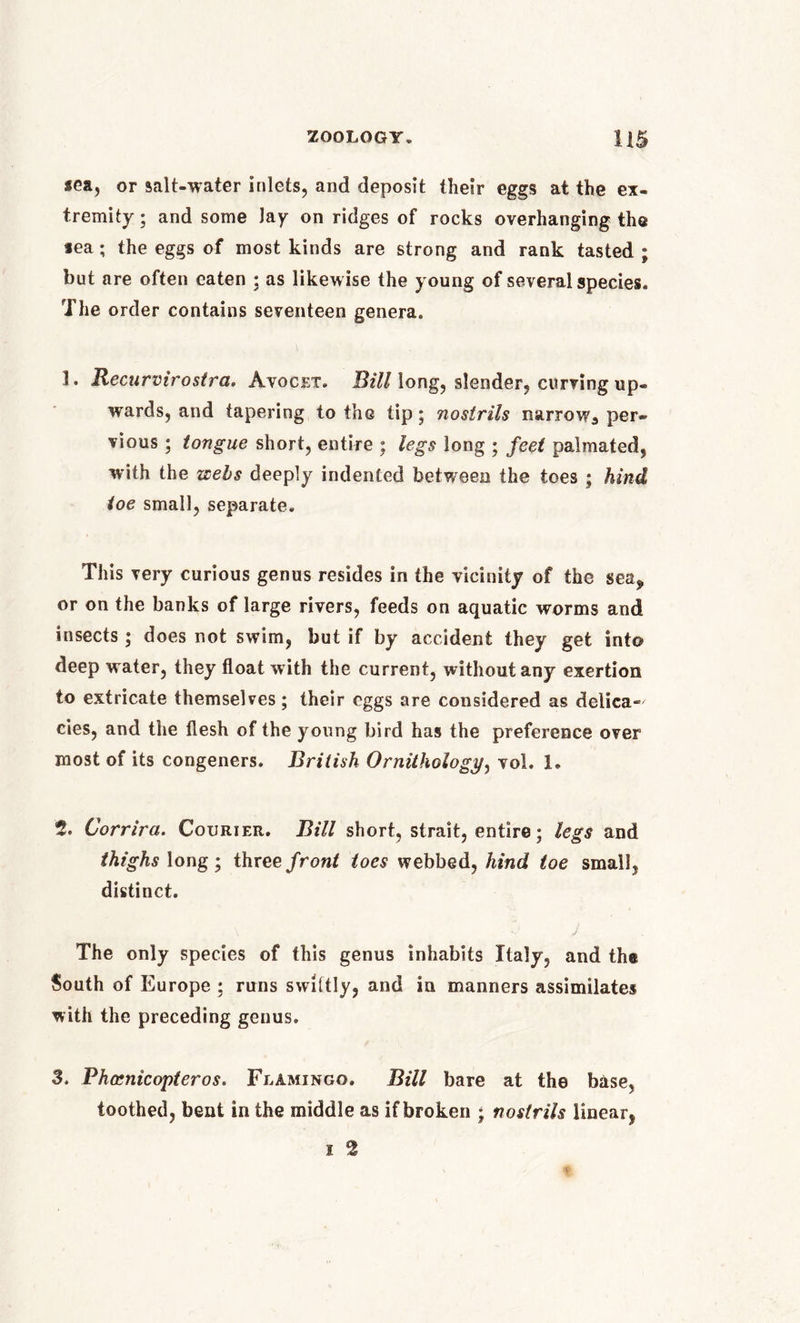 *ea, or salt-water inlets, and deposit their eggs at the ex- tremity ; and some lay on ridges of rocks overhanging the lea; the eggs of most kinds are strong and rank tasted ; but are often eaten ; as likewise the young of several species. The order contains seventeen genera. 1. Recurvirostra. Avocet. Bill long, slender, curving up- wards, and tapering to the tip; nostrils narrow., per- vious ; tongue short, entire ; legs long ; feet palmatcd, with the webs deeply indented between the toes ; hind toe small, separate. This very curious genus resides in the vicinity of the sea* or on the banks of large rivers, feeds on aquatic worms and insects ; does not swim, but if by accident they get into deep water, they float with the current, without any exertion to extricate themselves; their eggs are considered as delica-' cies, and the flesh of the young bird has the preference over most of its congeners. British Ornithology, vol. 1. 2. Corrira. Courier. Bill short, strait, entire; legs and thighs long; three front toes webbed, hind toe small, distinct. The only species of this genus inhabits Italy, and th& South of Europe ; runs swiltly, and in manners assimilates with the preceding genus. 3. Phocnicopteros. Flamingo. Bill bare at the base, toothed, bent in the middle as if broken ; nostrils linear, i 2