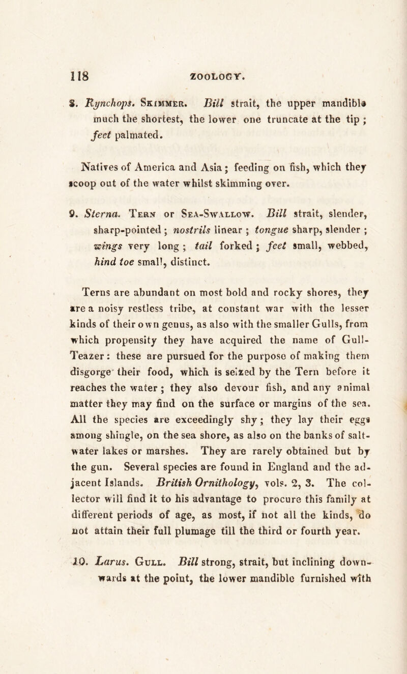 8. Rynchops. Skimmer. Bill strait, the upper mandibl® much the shortest, the lower one truncate at the tip ; feet pal mated. Natives of America and Asia; feeding on fish, which they icoop out of the water whilst skimming over. 9. Sterna. Tern or Sea-Swallow. Bill strait, slender, sharp-pointed ; nostrils linear ; tongue sharp, slender ; wings very long ; tail forked ; feet small, webbed, hind toe small, distinct. Terns are abundant on most bold and rocky shores, they are a noisy restless tribe, at constant war with the lesser kinds of their own genus, as also with the smaller Gulls, from which propensity they have acquired the name of Gull- Teazer: these are pursued for the purpose of making them disgorge their food, which is seized by the Tern before it reaches the water ; they also devour fish, and any animal matter they may find on the surface or margins of the sea. All the species are exceedingly shy; they lay their eggs among shingle, on the sea shore, as also on the banks of salt- water lakes or marshes. They are rarely obtained but by the gun. Several species are found in England and the ad- jacent Islands. British Ornithology, vols. 2, 3. The col- lector will find it to his advantage to procure this family at different periods of age, as most, if not all the kinds, do not attain their full plumage till the third or fourth year. 10. Larus. Gull. Bill strong, strait, but inclining down- wards at the point, the lower mandible furnished with