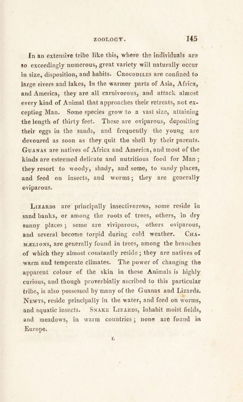 In an extensive tribe like this, where the individuals are so exceedingly numerous, great variety will naturally occur in size, disposition, and habits- Crocodiles are confined to large rivers and lakes, In the warmer parts of Asia, Africa, and America, they are ail carnivorous, and attack almost every kind of Animal that approaches their retreats, not ex- cepting Man. Some species grow to a vast size, attaining the length of thirty feet. These are oviparous, depositing their eggs in the sands, and frequently the young are devoured as soon as they quit the shell by their parents. Guanas are natives of Africa and America, and most of the kinds are esteemed delicate and nutritious food for Man ; they resort to woody, shady, and some, to sandy places, and feed on insects, and worms; they are generally oviparous. i Lizards are principally insectivorous, some reside in sand banks, or among the roots of trees, others, in dry sunny places ; some are viviparous, others oviparous, and several become torpid during cold weather. Cha- mjelions, are generally found in frees, among the branches of which they almost constantly reside; they are natives of warm and temperate climates. The power of changing the apparent colour of the skin in these Animals is highly curious, and though proverbially ascribed to this particular tribe, is also possessed by many of the Guanas and Lizards. Newts, reside principally in the water, and feed on worms, and aquatic insects. Snake Lizards, inhabit moist fields, and meadows, in warm countries; none are found in Europe.