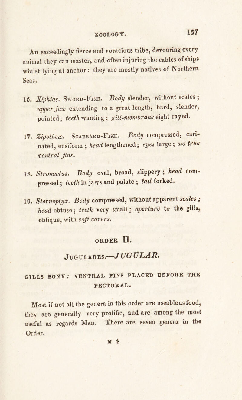 An exceedingly fierce and voracious tribe, devouring every animal they can master, and. often injuring the cables of ships whilst lying at anchor : they are mostly natives of Northern Seas, 16. Xiphias. Sword-Fish. Body slender, without scales; upper jaw extending to a great length, hard, slender, pointed; teeth wanting; gill-membrane eight rayed. 17. Zipothece. Scabbard-Fish. Body compressed, cari- nated, ensiform ; head lengthened ; eyes large; no true ventral Jins. IS. Stromcetus. Body oval, broad, slippery; head com- pressed; teeth in jaws and palate ; tail forked. 19. Sternoptyx. Body compressed, without apparent scales; head obtuse; teeth very small; aperture to the gills, oblique, with soft covers. ORDER n. Jugulares.—JUG ULAR• GILLS BONY; VENTRAL FINS PLACED BEFORE THE PECTORAL. Most if not all the genera in this order are useable as food, they are generally very prolific, and are among the most useful as regards Man. There are seven genera in the Order. m 4