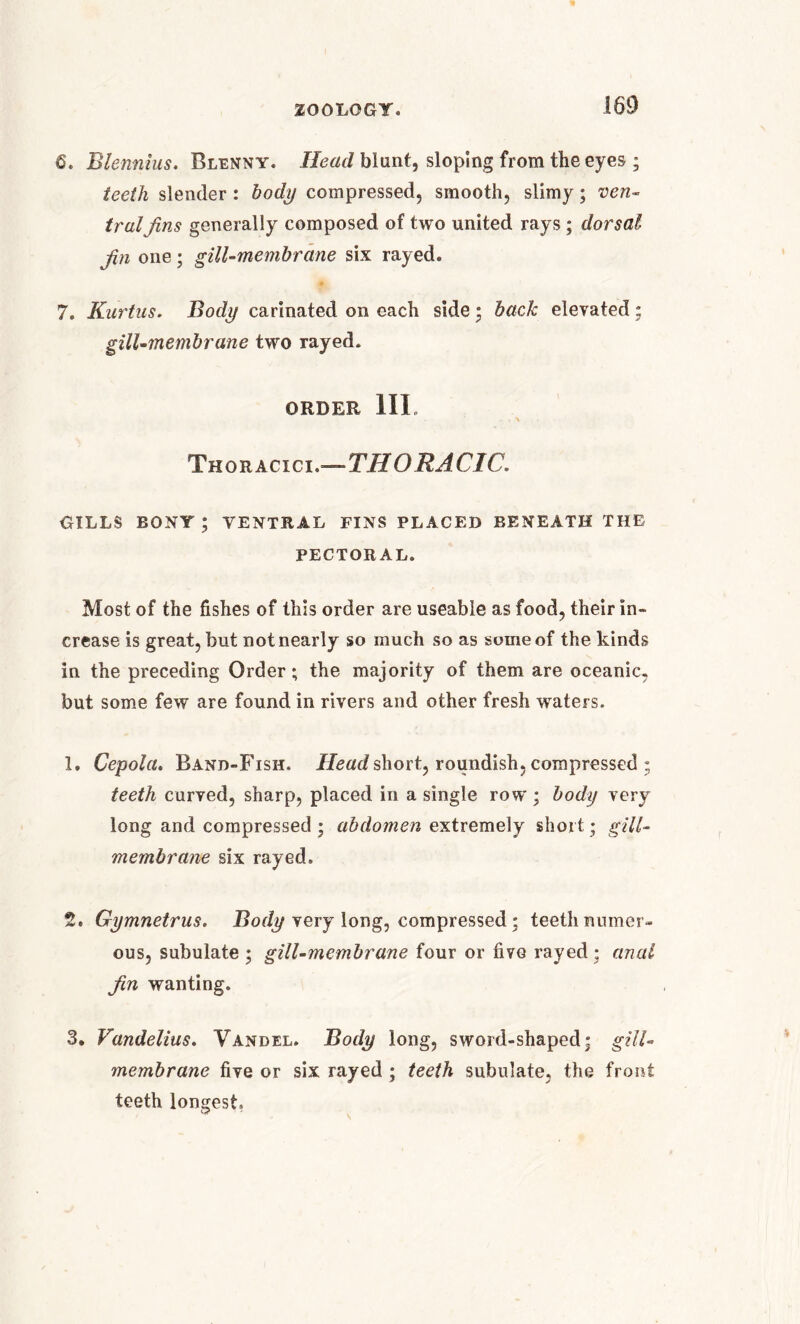 6. Blennius. Blenny. Head blunt, sloping from the eyes ; teeth slender : body compressed, smooth, slimy; ven- tral Jins generally composed of two united rays; dorsal Jin one; gill-membrane six rayed. 7. Kurtus. Body carinated on each side; back elevated; gill-membrane two rayed. ORDER III. Thoracicl—TI7 ORACIC. GILLS BONY; VENTRAL FINS PLACED BENEATH THE PECTORAL. Most of the fishes of this order are useable as food, their in- crease is great, but not nearly so much so as some of the kinds in the preceding Order; the majority of them are oceanic, but some few are found in rivers and other fresh wraters. 1. Cepola. Band-Fish. Head short, roundish, compressed ; teeth curved, sharp, placed in a single row ; body very long and compressed ; abdomen extremely short; gill- membrane six rayed. 2. Gymnetrus. Body very long, compressed; teeth numer- ous, subulate ; gill-membrane four or five rayed; anal fin wanting. 3. Vandelius. Vandel. Body long, sword-shaped; gill- membrane five or six rayed ; teeth subulate, the front teeth longest.