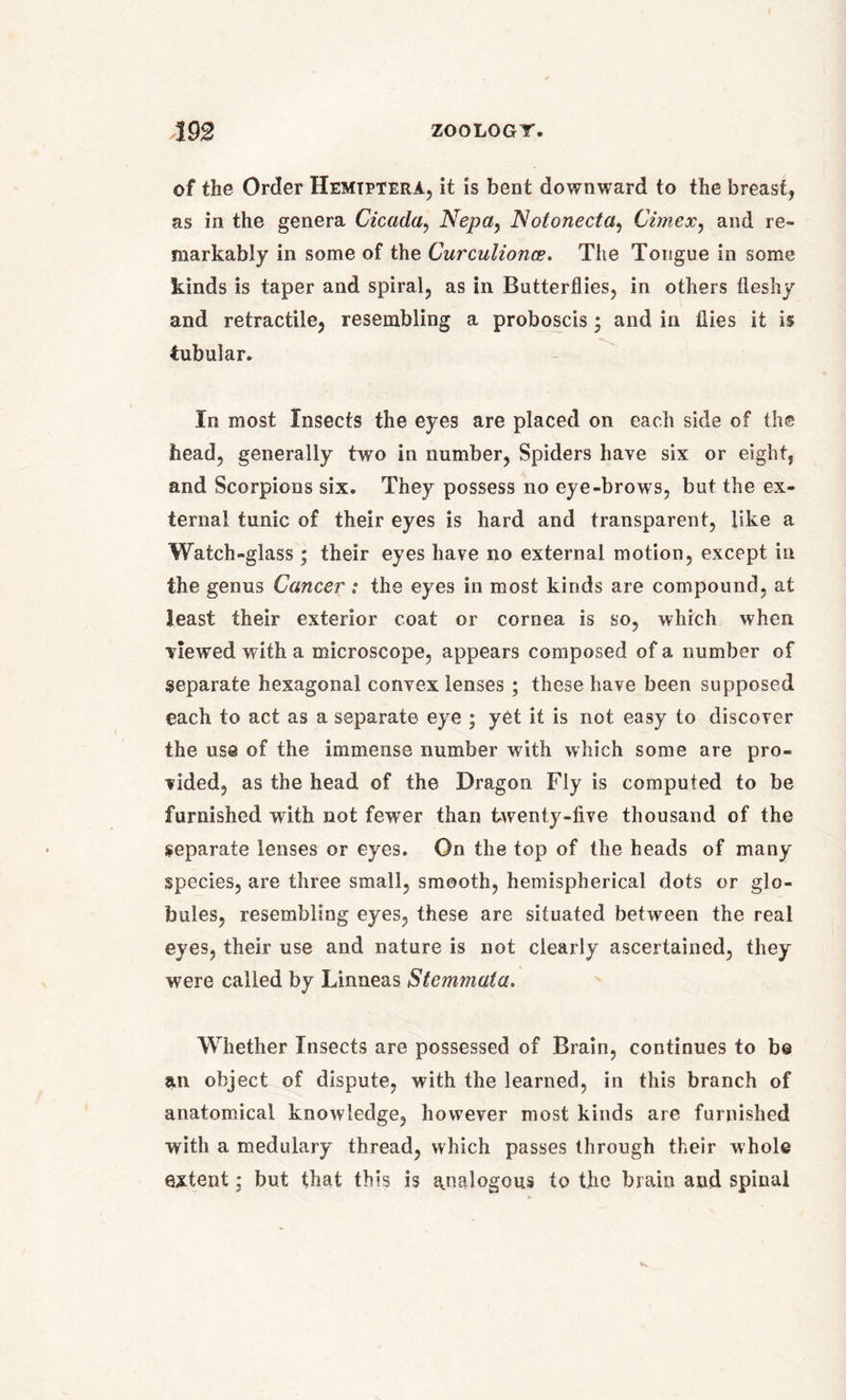 of the Order Hemiptera, it is bent downward to the breast, as in the genera Cicada, Nepa, Notonecta, Cimex, and re- markably in some of the Curculionce. The Tongue in some kinds is taper and spiral, as in Butterflies, in others fleshy and retractile, resembling a proboscis • and in flies it is tubular. In most Insects the eyes are placed on each side of the head, generally two in number, Spiders have six or eight, and Scorpions six. They possess no eye-brows, but the ex- ternal tunic of their eyes is hard and transparent, like a Watch-glass; their eyes have no external motion, except in the genus Cancer: the eyes in most kinds are compound, at least their exterior coat or cornea is so, which when viewed with a microscope, appears composed of a number of separate hexagonal convex lenses; these have been supposed each to act as a separate eye ; yet it is not easy to discover the use of the immense number with which some are pro- vided, as the head of the Dragon Fly is computed to be furnished with not fewer than twenty-five thousand of the separate lenses or eyes. On the top of the heads of many species, are three small, smooth, hemispherical dots or glo- bules, resembling eyes, these are situated between the real eyes, their use and nature is not clearly ascertained, they were called by Linneas Stemmata. Whether Insects are possessed of Brain, continues to be an object of dispute, with the learned, in this branch of anatomical knowledge, however most kinds are furnished with a medulary thread, which passes through their whole extent; but that this is analogous to the brain and spinal