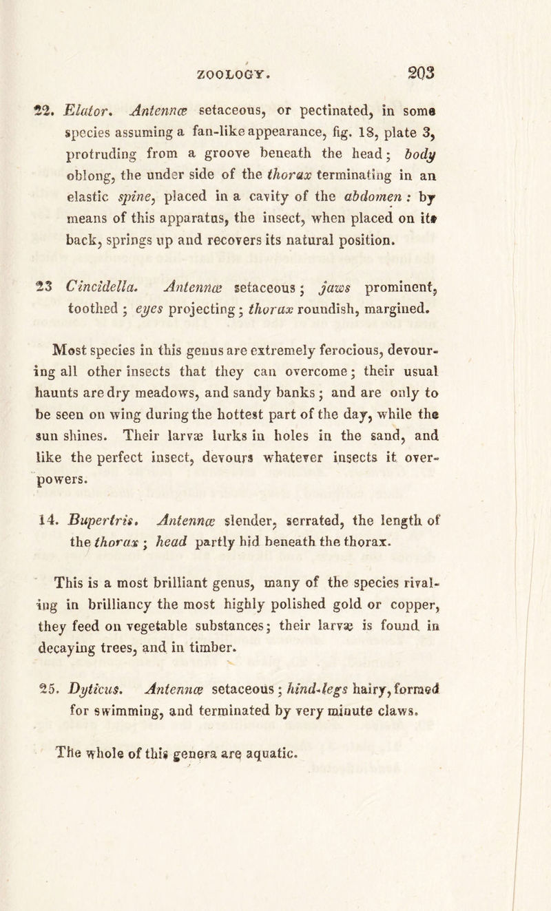 52. Elator. Antennae setaceous, or pectinated, in some species assuming a fan-like appearance, fig. 18, plate 3, protruding from a groove beneath the head; body oblong, the under side of the thorax terminating in an elastic spine, placed in a cavity of the abdomen : by means of this apparatus, the insect, when placed on it# back, springs up and recovers its natural position. 53 Clncidella. Antennae setaceous; jaws prominent, toothed ; eyes projecting; thorax roundish, margined. Most species in this genus are extremely ferocious, devour- ing all other insects that they can overcome; their usual haunts are dry meadows, and sandy banks; and are only to be seen on wing during the hottest part of the day, while the sun shines. Their larvae lurks in holes in the sand, and like the perfect insect, devours whatever insects it over- powers. 14. Bupertris. Antennae slender, serrated, the length of the thorax ; head partly hid beneath the thorax. This is a most brilliant genus, many of the species rival- ing in brilliancy the most highly polished gold or copper, they feed on vegetable substances; their larvae is found is decaying trees, and in timber. 25. Dyticus, Antennas setaceous; hindAegs hairy, formed for swimming, and terminated by very minute claws. The whole of this genera are aquatic.