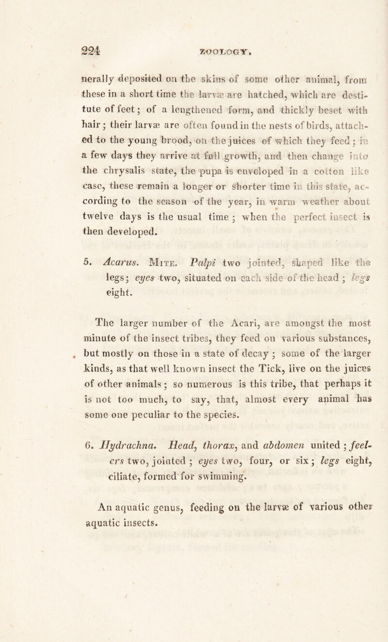 nerally deposited on the skins of some oilier animal, from these in a short time the larvae are hatched, which are desti- tute of feet; of a lengthened form, and thickly beset with hair; their lam® are often found in the nests of birds, attach- ed to the young brood, on the juices of which tiiej feed; i a few days they arrive at full growth, and then change into the chrysalis state, the pupa is enveloped in a cotton like case, these remain a longer or shorter time ii this state, ac- cording to the season of the year, in warm weather about twelve days is the usual time ; when the perfect insect is then developed. 5. Acarus. Mite. Palpi two jointed, shaped like the legs; eyes two, situated on each side of the head ; legs eight. The larger number of the Acari, are amongst the most minute of the insect tribes, they feed on various substances, , but mostly on those in a state of decay ; some of the larger kinds, as that well known insect the Tick, live on the juices of other animals; so numerous is this tribe, that perhaps it is not too much, to say, that, almost every animal has some one peculiar to the species. 6. Jlydrachna. Head0 thorax, and abdomen united ; feeU ers two, jointed ; eyes two, four, or six; legs eight, ciliate, formed for swimming. An aquatic genus, feeding on the larvae of various othei? aquatic insects.