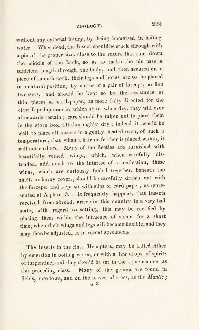 without any external injury, by being immersed in boiling water. When dead, the Insect should be stuck through with a pin of the proper size, close to the suture that runs down the middle of the back, so as to make the pin pass a sufficient length through the body, and then secured on a piece of smooth cork, their legs and horns are to be placed in a natural position, by means of a pair of forceps, or line tweezers, and should be kept so by the assistance of thin pieces of card-paper, as more fully directed for the class Lipedoptera; in which state when dry, they will ever afterwards remain ; care should be taken not to place them in the store box, till thoroughly dry ; indeed it would be well to place all insects in a gently heated oven, of such a temperature, that when a hair or feainer is placed within, it will not curl up. Many of the Beetles are furnished with beautifully veined wings, which, when caiefully dis-* tended, add much to the interest of a collection, these wings, which are curiously folded together, beneath the shells or horny covers, should be carefully drawn out with the forceps, and kept so with slips of card paper, as repre- sented at A plate 3. It frequently happens, that Insects received from abroad, arrive in this country in a very bad state, with regard to setting, this may be reclined by placing them within the influence of steam for a short time, when their wings and legs will become flexible, and they may then be adjusted, as in recent specimens. The Insects in the class Hemiptera, may be killed either by emersion in boiling water, or with a few drops of spirits of turpentine, and they should be set in the same manner as the preceding class. Many of the genera are found in fields, meadows, and on the leaves of trees, as (lie Mantis y