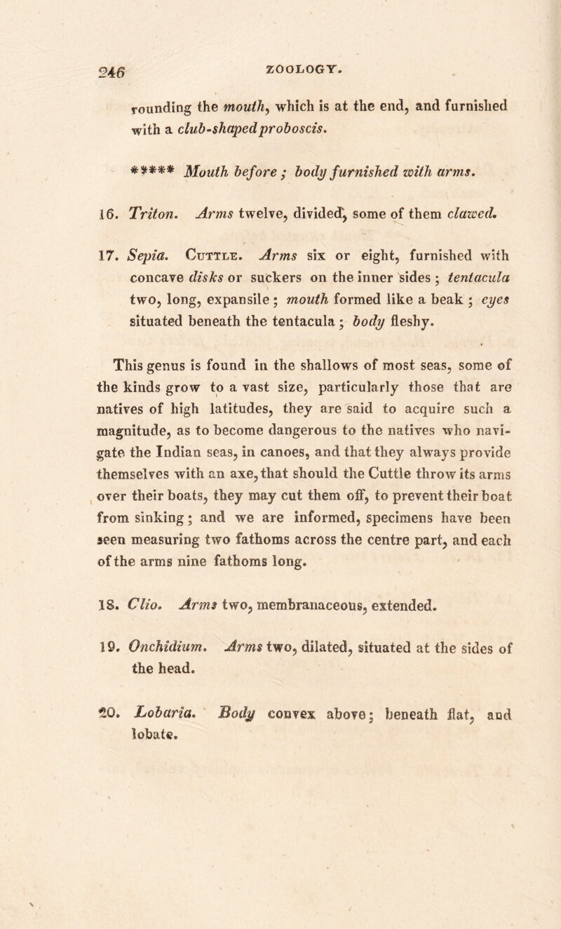 rounding the mouth, which is at the end, and furnished with a club-shaped proboscis. ***** Mouth before; body furnished with arms. 16. Triton. Arms twelve, divided^ some of them clawed. 17, Sepia. Cuttle. Arms six or eight, furnished with concave disks or suckers on the inner sides ; teniacula two, long, expansile ; mouth formed like a beak ; eyes situated beneath the tentacula; body fleshy. This genus is found in the shallows of most seas, some of the kinds grow to a vast size, particularly those that are natives of high latitudes, they are said to acquire such a magnitude, as to become dangerous to the natives who navi- gate the Indian seas, in canoes, and that they always provide themselves with an axe, that should the Cuttle throw its arms over their boats, they may cut them off, to prevent their boat from sinking; and we are informed, specimens have been seen measuring two fathoms across the centre part, and each of the arms nine fathoms long. IS. Clio. Arms two, membranaceous, extended. 19. Onchidium. Arms two, dilated, situated at the sides of the head. SO. Lobaria. Body convex above; beneath flat, and lobate.