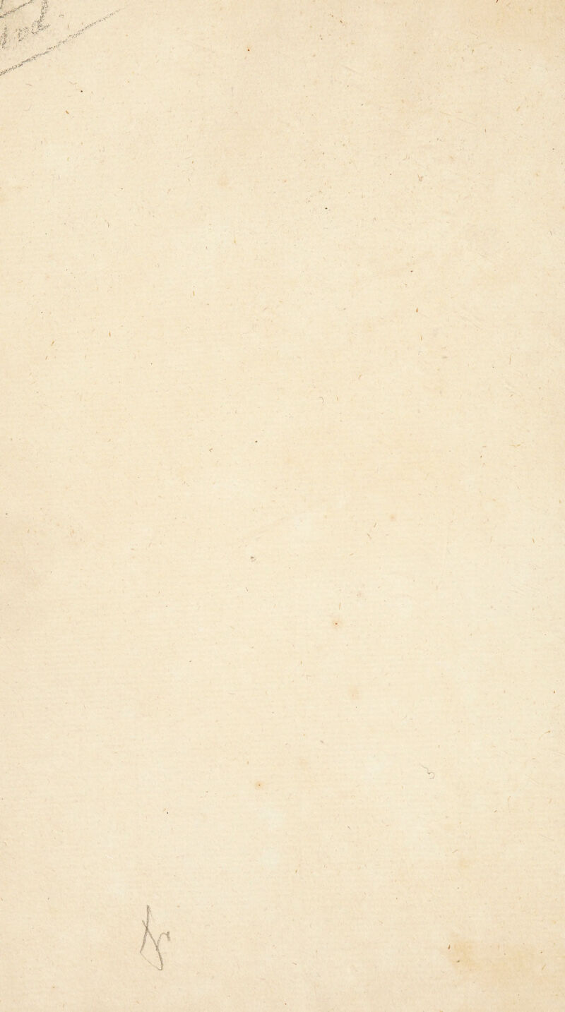 r r 1 ' / '< <r / . . ! f ( » ; \ - \ ! \ i ■>