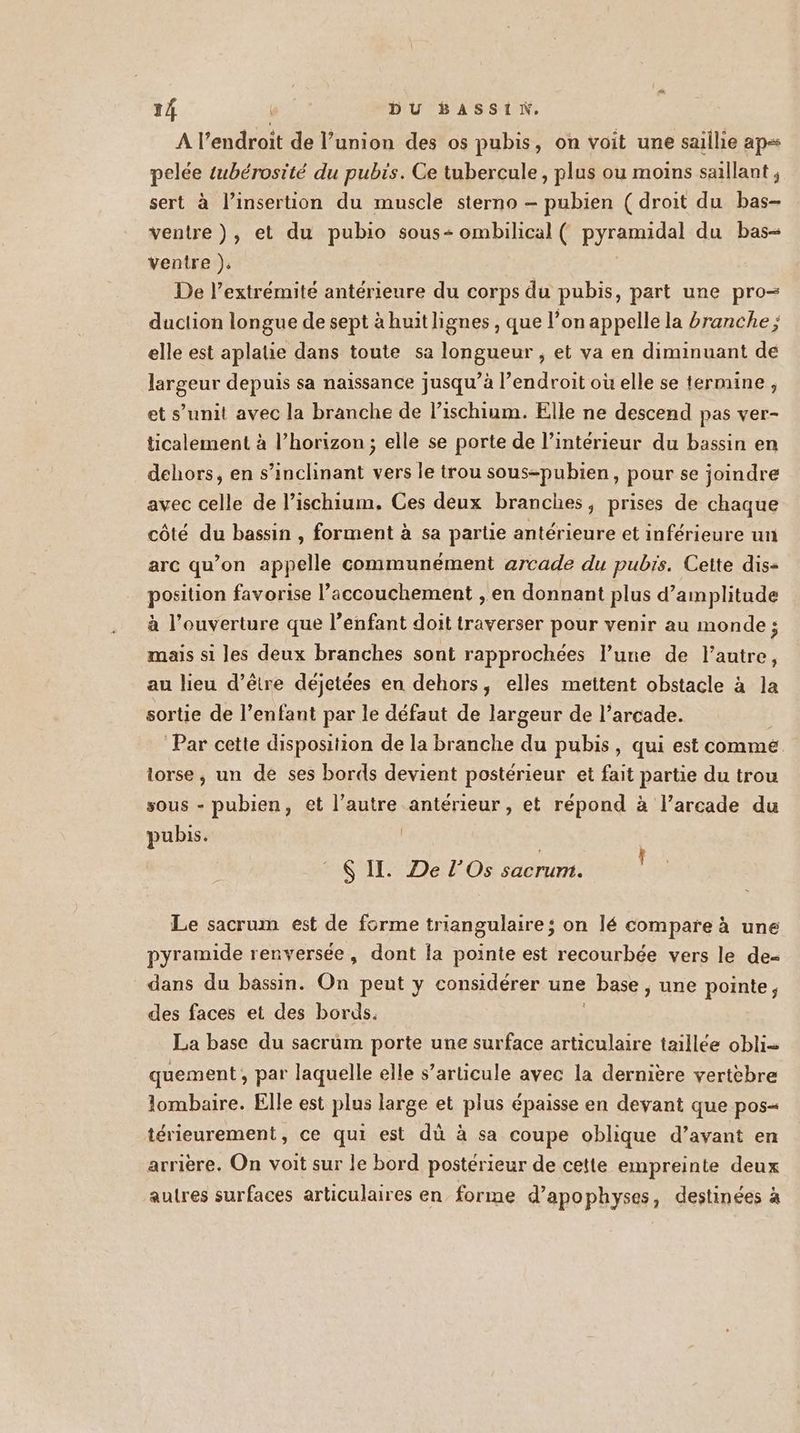 A l’endroit de l’union des os pubis, on voit une saillie ap« pelée tubérosité du pubis. Ce tubercule , plus ou moins saïllant ; sert à l'insertion du muscle sterno — pubien ( droit du bas- ventre), et du pubio sous: ombilical ( pyramidal du bas- ventre ). De l’extrémité antérieure du corps du pubis, part une pro= duction longue de sept à huit lignes , que l’on appelle la branche ; elle est aplatie dans toute sa longueur , et va en diminuant de largeur depuis sa naissance jusqu’à l’endroit où elle se termine, et s’unit avec la branche de l’ischium. Elle ne descend pas ver- ticalement à l’horizon ; elle se porte de l’intérieur du bassin en dehors, en s’inclinant vers le trou sous-pubien, pour se joindre avec celle de l’ischium. Ces deux branches, prises de chaque côté du bassin , forment à sa partie antérieure et inférieure un arc qu’on appelle communément arcade du pubis. Ceite dis- position favorise l’accouchement , en donnant plus d’amplitude à l’ouverture que l'enfant doit traverser pour venir au monde; mais si les deux branches sont rapprochées l’une de l'autre, au lieu d’être déjetées en dehors, elles mettent obstacle à la sortie de l’enfant par le défaut de largeur de l’arcade. Par cette disposition de la branche du pubis, qui est comme. torse, un de ses bords devient postérieur et fait partie du trou sous - pubien, et l’autre antérieur , et répond à l’arcade du pubs. | $ II. De l’Os in ! Le sacrum est de forme triangulaire; on lé compare à une pyramide renversée, dont la pointe est recourbée vers le de= dans du bassin. On peut y considérer une base, une pointe; des faces et des bords. La base du sacrüum porte une surface articulaire taillée obli= quement , par laquelle elle s’articule avec la dernière vertebre lombaire. Elle est plus large et plus épaisse en devant que pos« térieurement, ce qui est dù à sa coupe oblique d’avant en arrière. On voit sur le bord postérieur de cette empreinte deux autres surfaces articulaires en forme d’apophyses, destinées à