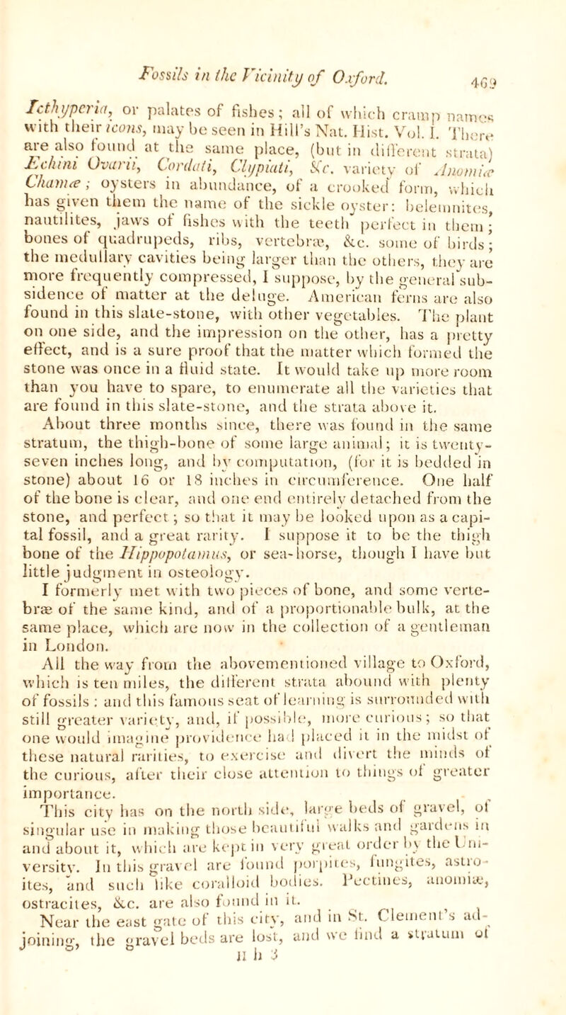 Tethyperia, or palates of fishes; all of which cramp names with their icons, may be seen in Hill’s Nat. Hist. Vol. 1. There are also found at the same place, (but in different strata) Fdimi Ovarii, Cordati, Clypiati, Sic. variety of’ Anomue Cham<e ; oysters in abundance, of a crooked form, which has given them the name of the sickle oyster: heleinnites, nautilites, jaws of fishes with the teeth perfect in them; bones of quadrupeds, ribs, vertebras, &c. some of birds ; the medullai v ca\ities being larger than the others, they are more frequently compressed, I suppose, by the general sub- sidence of matter at the deluge. American ferns are also found in this slate-stone, with other vegetables. The plant on one side, and the impression on the other, has a pretty effect, and is a sure proof that the matter which formed the stone was once in a fluid state. It would take up more room than you have to spare, to enumerate all the varieties that are found in this slate-stone, and the strata above it. About three months since, there was found in the same stratum, the thigh-bone of some large animal; it is twenty- seven inches long, and by computation, (for it is bedded in stone) about 16 or 18 inches in circumference. One half of the bone is clear, and one end entirely detached from the stone, and perfect; so that it may be looked upon as a capi- tal fossil, and a great rarity. I suppose it to be the thigh bone of the Hippopotamus, or sea-horse, though I have but little judgment in osteology. I formerly met with two pieces of bone, and some verte- bra; of the same kind, and of a proportionable bulk, at the same place, which are now in the collection of a gentleman in London. All the way from the abovementioned village to Oxford, which is ten miles, the dillerent strata abound with plenty of fossils : and this famous seat of learning is surrounded with still greater variety, and, il possible, more curious; so that one would imagine providence had placed it in the midst of these natural rarities, to exercise and divert the minds of the curious, after their close attention to things of greater importance. This city lias on the north side, large beds of gravel, of singular use in making those beautiful walks and gardens in and about it, which are kept in very great order by thel ru- versitv. In this gravel are found porpites, fungites, astro- ites, and such like coralloid bodies. Pectiues, anoinite, ostracites, ike. are also found in it. Near the east gate of this city, and in St. Clement s ad- joinin''', the gravel beds are lost, and ne find a sputum ot JI h i