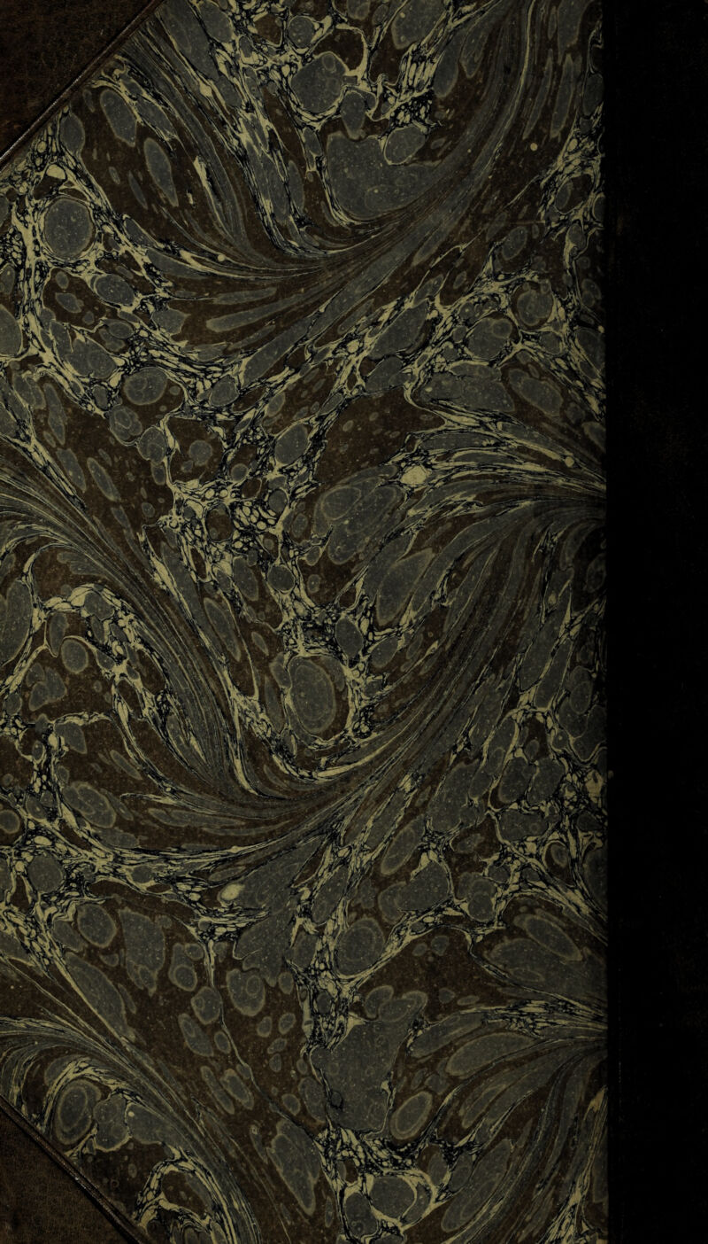 pjpQ> ϋ ip . fi - :>Wi ~s; //*' ■ : *