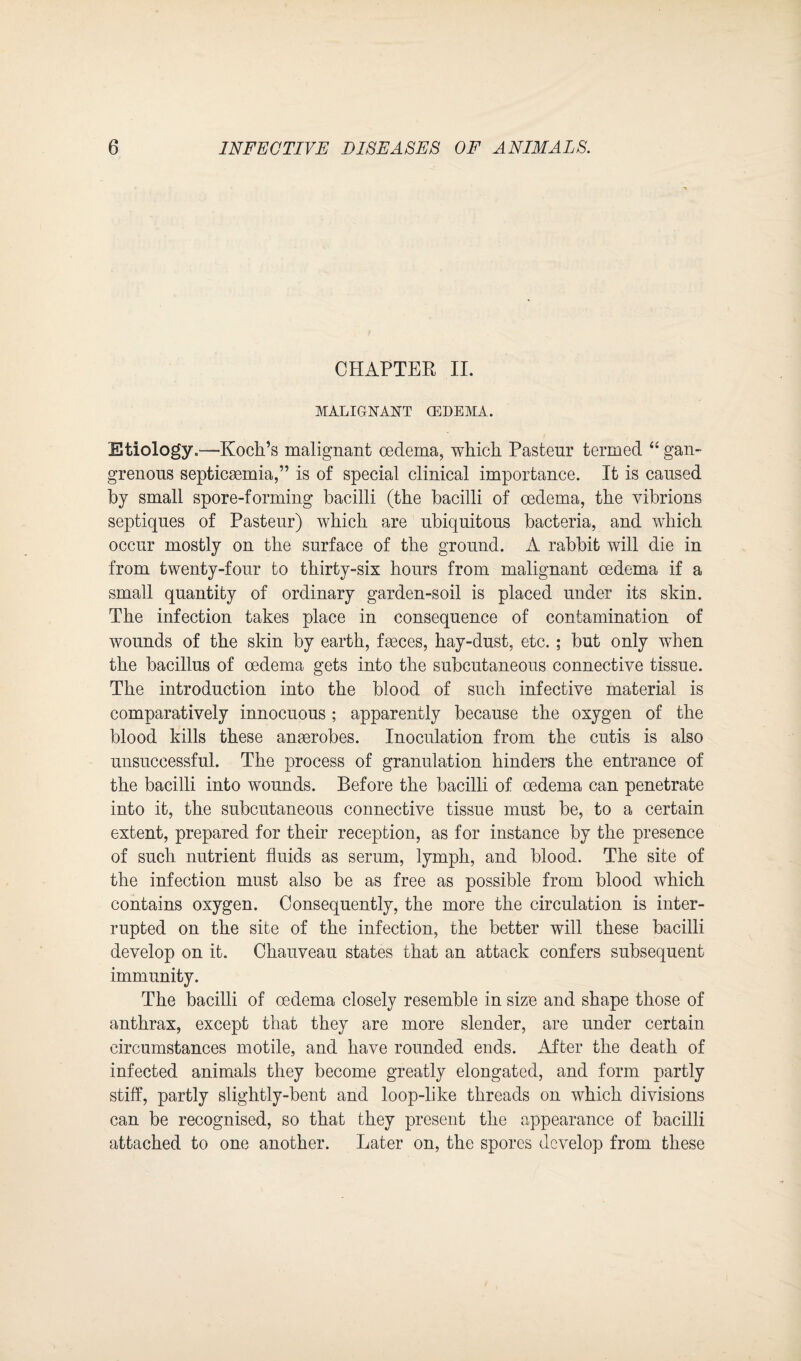 CHAPTER II. MALIGNANT (EDEMA. Etiology.—Koch’s malignant oedema, which Pasteur termed “ gan¬ grenous septicaemia,” is of special clinical importance. It is caused by small spore-forming bacilli (the bacilli of oedema, the vibrions septiques of Pasteur) which are ubiquitous bacteria, and which occur mostly on the surface of the ground. A rabbit will die in from twenty-four to thirty-six hours from malignant oedema if a small quantity of ordinary garden-soil is placed under its skin. The infection takes place in consequence of contamination of wounds of the skin by earth, faeces, hay-dust, etc.; but only when the bacillus of oedema gets into the subcutaneous connective tissue. The introduction into the blood of such infective material is comparatively innocuous; apparently because the oxygen of the blood kills these anaerobes. Inoculation from the cutis is also unsuccessful. The process of granulation hinders the entrance of the bacilli into wounds. Before the bacilli of oedema can penetrate into it, the subcutaneous connective tissue must be, to a certain extent, prepared for their reception, as for instance by the presence of such nutrient fluids as serum, lymph, and blood. The site of the infection must also be as free as possible from blood which contains oxygen. Consequently, the more the circulation is inter¬ rupted on the site of the infection, the better will these bacilli develop on it. Chauveau states that an attack confers subsequent immunity. The bacilli of oedema closely resemble in size and shape those of anthrax, except that they are more slender, are under certain circumstances motile, and have rounded ends. After the death of infected animals they become greatly elongated, and form partly stiff, partly slightly-bent and loop-like threads on which divisions can be recognised, so that they present the appearance of bacilli attached to one another. Later on, the spores develop from these