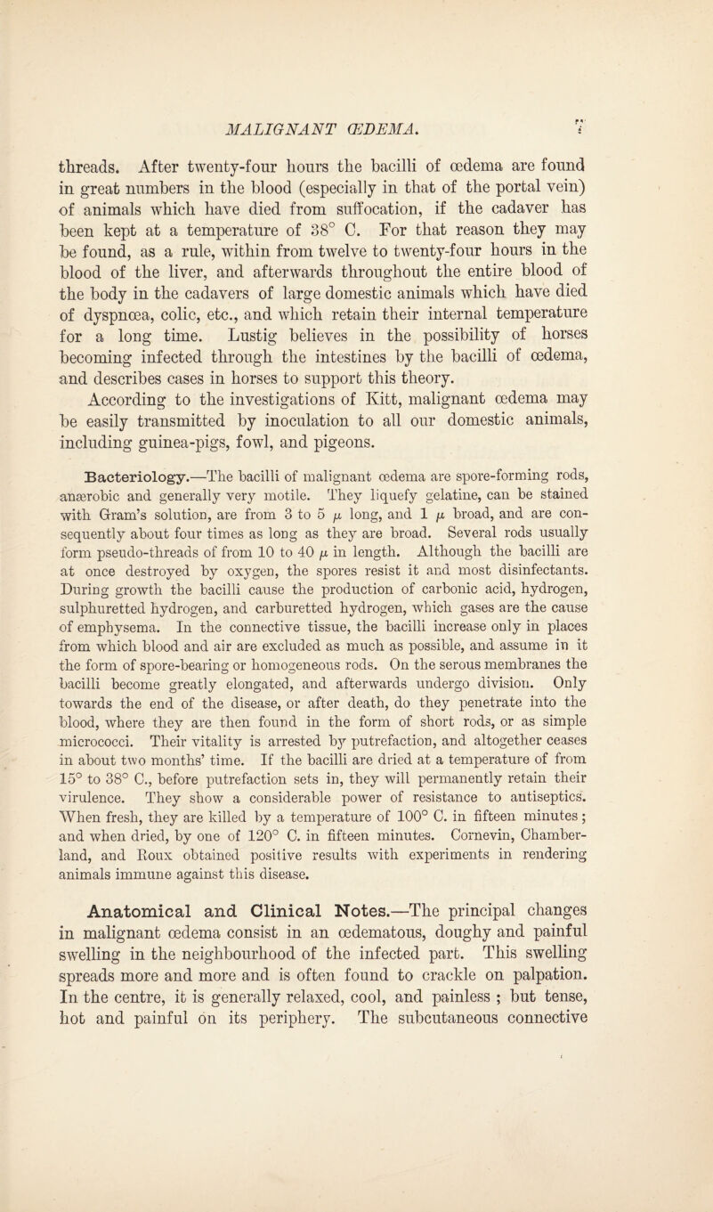 MALIGNANT (EDEMA. threads. After twenty-four hours the bacilli of oedema are found in great numbers in the blood (especially in that of the portal vein) of animals which have died from suffocation, if the cadaver has been kept at a temperature of 38° C. For that reason they may be found, as a rule, within from twelve to twenty-four hours in the blood of the liver, and afterwards throughout the entire blood of the body in the cadavers of large domestic animals which have died of dyspnoea, colic, etc., and which retain their internal temperature for a long time. Lustig believes in the possibility of horses becoming infected through the intestines by the bacilli of oedema, and describes cases in horses to support this theory. According to the investigations of Kitt, malignant oedema may be easily transmitted by inoculation to all our domestic animals, including guinea-pigs, fowl, and pigeons. Bacteriology.—The bacilli of malignant oedema are spore-forming rods, anaerobic and generally very motile. They liquefy gelatine, can be stained with Gram’s solution, are from 3 to 5 p, long, and 1 p. broad, and are con¬ sequently about four times as long as they are broad. Several rods usually form pseudo-threads of from 10 to 40 /j, in length. Although the bacilli are at once destroyed by oxygen, the spores resist it and most disinfectants. During growth the bacilli cause the production of carbonic acid, hydrogen, sulphuretted hydrogen, and carburetted hydrogen, which gases are the cause of emphysema. In the connective tissue, the bacilli increase only in places from which blood and air are excluded as much as possible, and assume in it the form of spore-bearing or homogeneous rods. On the serous membranes the bacilli become greatly elongated, and afterwards undergo division. Only towards the end of the disease, or after death, do they penetrate into the blood, where they are then found in the form of short rods, or as simple micrococci. Their vitality is arrested by putrefaction, and altogether ceases in about two months’ time. If the bacilli are dried at a temperature of from 15° to 38° C., before putrefaction sets in, they will permanently retain their virulence. They show a considerable power of resistance to antiseptics. When fresh, they are killed by a temperature of 100° C. in fifteen minutes; and when dried, by one of 120° C. in fifteen minutes. Cornevin, Chamber- land, and Roux obtained positive results with experiments in rendering animals immune against this disease. Anatomical and Clinical Notes.—The principal changes in malignant oedema consist in an oedematous, doughy and painful swelling in the neighbourhood of the infected part. This swelling spreads more and more and is often found to crackle on palpation. In the centre, it is generally relaxed, cool, and painless ; but tense, hot and painful on its periphery. The subcutaneous connective