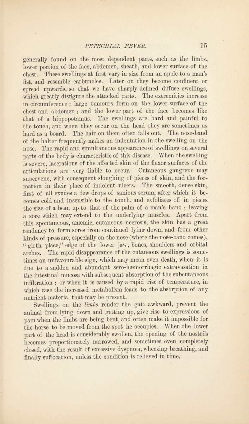 generally found on the most dependent parts, such as the limbs, lower portion of the face, abdomen, sheath, and lower surface of the chest. These swellings at first vary in size from an apple to a man’s fist, and resemble carbuncles. Later on they become confluent or spread upwards, so that we have sharply defined diffuse swellings, which greatly disfigure the attacked parts. The extremities increase in circumference ; large tumours form on the lower surface of the chest and abdomen ; and the lower part of the face becomes like that of a hippopotamus. The swellings are hard and painful to the touch, and when they occur on the head they are sometimes as hard as a board. The hair on them often falls out. The nose-band of the halter frequently makes an indentation in the swelling on the nose. The rapid and simultaneous appearance of swellings on several parts of the body is characteristic of this disease. When the swelling is severe, lacerations of the affected skin of the flexor surfaces of the articulations are very liable to occur. Cutaneous gangrene may supervene, with consequent sloughing of pieces of skin, and the for¬ mation in their place of indolent ulcers. The smooth, dense skin, first of all exudes a few drops of sanious serum, after which it be¬ comes cold and insensible to the touch, and exfoliates off in pieces the size of a bean up to that of the palm of a man’s hand ; leaving a sore which may extend to the underlying muscles. Apart from this spontaneous, anaemic, cutaneous necrosis, the skin has a great tendency to form sores from continued lying down, and from other kinds of pressure, especially on the nose (where the nose-band comes), “ girth place,” edge of the lower jaw, bones, shoulders and orbital arches. The rapid disappearance of the cutaneous swellings is some¬ times an unfavourable sign, which may mean even death, when it is due to a sudden and abundant sero-hmmorrhagie extravasation in the intestinal mucosa with subsequent absorption of the subcutaneous infiltration ; or when it is caused by a rapid rise of temperature, in which case the increased metabolism leads to the absorption of any nutrient material that may be present. Swellings on the limbs render the gait awkward, prevent the animal from lying down and getting up, give rise to expressions of pain when the limbs are being bent, and often make it impossible for the horse to be moved from the spot he occupies. When the lower part of the head is considerably swollen, the opening of the nostrils becomes proportionately narrowed, and sometimes even completely closed, with the result of excessive dyspnoea, wheezing breathing, and finally suffocation, unless the condition is relieved in time.