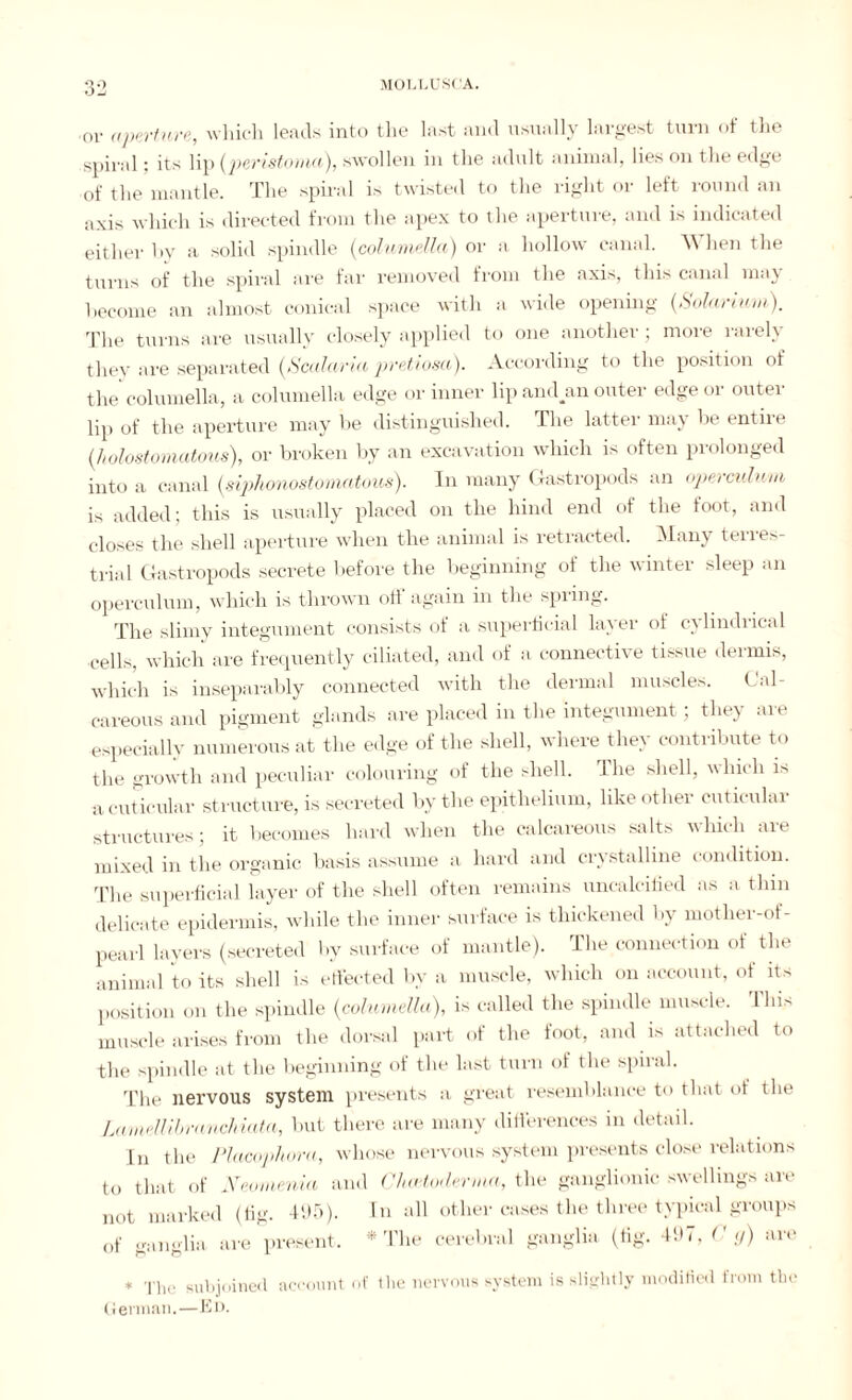 or aperture, which leads into the last and usually largest turn of the spiral; its lip (peristoma), swollen in the adult animal, lies on the edge of the mantle. The spiral is twisted to the right or left round an axis which is directed from the apex to the aperture, and is indicated either by a solid spindle (columella) or a hollow canal. When the turns of the spiral are far removed from the axis, this canal may become an almost conical space with a wide opening (Solarium). The turns are usually closely applied to one another ; more rarely they are separated (Scalaria pretiosa). According to the position of the columella, a columella edge or inner lip andjm outer edge or outer lip of the aperture may be distinguished. The latter may be entire (holostomatous), or broken by an excavation which is often prolonged into a canal (siphonostomatous). In many Gastropods an operculum is added; this is usually placed on the hind end of the foot, and closes the shell aperture when the animal is retracted. Many terres¬ trial Gastropods secrete before the beginning of the winter sleep an operculum, which is thrown off again in the spring. The slimy integument consists of a superficial layer of cylindrical cells, which are frequently ciliated, and of a connective tissue dermis, which is inseparably connected with the dermal muscles. Cal¬ careous and pigment glands are placed in the integument; they aie especially numerous at the edge of the shell, where they contribute to the growth and peculiar colouring of the shell. 1 he shell, which is a cuticular structure, is secreted by the epithelium, like other cutieular structures; it becomes hard when the calcareous salts which are mixed in the organic basis assume a hard and crystalline condition. The superficial layer of the shell often remains uncalciiied as a thin delicate epidermis, while the inner surface is thickened by mother-of- pearl layers (secreted by surface of mantle). The connection of the animal to its shell is effected by a muscle, which on account, of its position on the spindle (columella), is called the spindle muscle. This muscle arises from the dorsal part of the foot, and is attached to the spindle at the beginning of the last turn of the spiral. The nervous system presents a great resemblance to that of the Lamellibrauchiata, but there are many differences in detail. In the Placophora, whose nervous system presents close relations to that of Neomenia and Chaitoderma, the ganglionic swellings are not marked (fig. 495). In all other cases the three typical groups of ganglia are present. * The cerebral ganglia (tig. 497, (' g) are * The subjoined account of the nervous system is slightly modified from the German.—Ed.