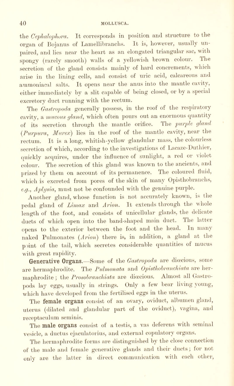 the Cephalophura. It corresponds in position and structure to the organ of Bojanus of Lamellibranchs. It is, however, usually un¬ paired, and lies near the heart as an elongated triangular sac, with spongy (rarely smooth) walls of a yellowish brown colour, ihe secretion of the gland consists mainly of hard concrements, which arise in the lining cells, and consist of uric acid, calcareous and ammoniacal salts. It opens near the anus into the mantle cavity, either immediately by a slit capable of being closed, or by a special excretory duct running with the rectum. The Gastropoda generally possess, in the roof of the respiratory cavity, a mucous gland, which often pours out an enormous quantity of its secretion through the mantle orifice. The purple, gland (Purpura, Murex) lies in the roof of the mantle cavity, near the rectum. It is a long, whitish-yellow glandular mass, the colourless secretion of which, according to the investigations of Lacaze-Duthier, quickly acquires, under the influence of sunlight, a red or violet colour. The secretion of this gland was known to the ancients, and prized by them on account of its permanence. The coloured fluid, which is excreted from pores of the skin of many Opisthobranclis, e.g., Aplysia, must not be confounded with the genuine purple. Another gland, whose function is not accurately known, is the pedal gland of Limax and Arion. It extends through the whole length of the foot, and consists of unicellular glands, the delicate ducts of which open into the band-shaped main duct. The latter opens to the exterior between the foot and the head. In many naked Pulmonates [Arion) there is, in addition, a gland at the p lint of the tail, which secretes considerable quantities of mucus with great rapidity. Generative Organs.—Some of the Gastropoda are dioecious, some are hermaphrodite. The Pulmonata and Opisthobrancliiata are her¬ maphrodite ; the Prosobranchiata are dioecious. Almost all Gastro¬ pods lay eggs, usually in strings. Only a few bear living young, which have developed from the fertilised eggs in the uterus. The female organs consist of an ovary, oviduct, albumen gland, uterus (dilated and glandular part of the oviduct), vagina, and receptaculum seminis. The male organs consist of a testis, a vas deferens with seminal vesicle, a ductus ejaculatorius, and external copulatorv organs. The hermaphrodite forms are distinguished by the close connection of the male and female generative glands and their ducts; for not only are the latter in direct communication with each other,