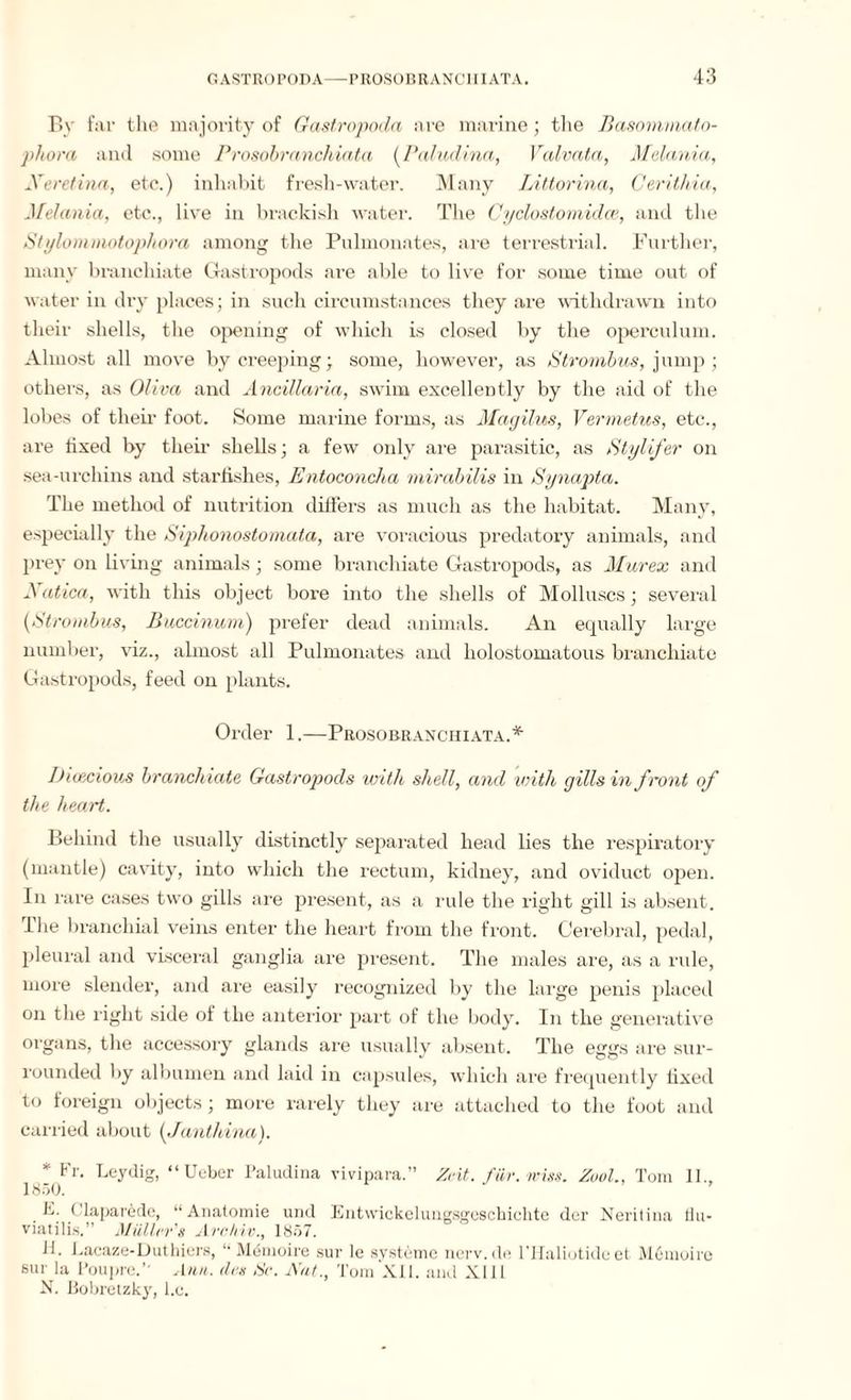 By far the majority of Gastropoda are marine; the Basommato- phora and some Prosobranchiata (Paludina, Valvata, Melania, Xeretina, etc.) inhabit fresh-water. Many Littorina, Cerithia, Melania, etc., live in brackish water. The Cyclostomidce, and the Stylommotophora among the Pulmonates, are terrestrial. Further, many branchiate Gastropods are able to live for some time out of water in dry places; in such circumstances they are withdrawn into their shells, the opening of which is closed by the operculum. Almost all move by creeping; some, however, as Strombus, jump; others, as Oliva and Ancillaria, swim excellently by the aid of the lobes of their foot. Some marine forms, as Magilus, Vermetus, etc., are fixed by their shells; a few only are parasitic, as Sty lifer on sea-urchins and starfishes, Entoconcha mirabilis in Synapta. The method of nutrition differs as much as the habitat. Many, especially the Siphonostomata, are voracious predatory animals, and prey on living animals ; some branchiate Gastropods, as Murex and Xatica, with this object bore into the shells of Molluscs; several (Strombus, Buccinum) prefer dead animals. An equally large number, viz., almost all Pulmonates and holostomatous branchiate Gastropods, feed on plants. Order 1.—Prosobranchiata.* Dioecious branchiate Gastropods with shell, and with gills in front of the heart. Behind the usually distinctly separated head lies the respiratory (mantle) cavity, into which the rectum, kidney, and oviduct open. In rare cases two gills are present, as a rule the right gill is absent. The branchial veins enter the heart from the front. Cerebral, pedal, pleural and visceral ganglia are present. The males are, as a rule, more slender, and are easily recognized by the large penis placed on the right side of the anterior part of the body. In the generative organs, the accessory glands are usually absent. The eggs are sur¬ rounded by albumen and laid in capsules, which are frequently fixed to foreign objects; more rarely they are attached to the foot and carried about (Janthina). * IT. Leydig, “ Ueber Paludina vivipara.” Zeit. für. miss. Zuol., Tom II., 1850. ' E. (Taparede, “Anatomie und Entwickelungsgeschichte der Neritina flu* viatilis.” Müller s Archiv., 1857. li. Lacaze-Duthiers, “ Mdmoire sur le Systeme nerv.de l'Haliotideet Mömoirc sur la Poupre.’- Ann. des Sc. Aut., Tom XII. and XIII N. ßobretzky, l.c.