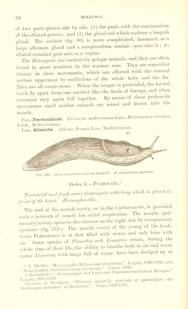 of two parts placed side by side, (1) the penis with the continuation of the ciliated groove ; and (2) the gland rod which encloses a longxsh gland. The oviduct (fig. 90) is more complicated, inasmuch as a large albumen gland and a receptaculum seminis open into it; its dilated terminal part acts as a vagina. The Heteropoda are exclusively pelagic animals, and they are often found in great numbers in the warmer seas. They are somewhat clumsy in their movements, which are effected with the ventral surface uppermost by oscillations of the whole body and the fin. They are all carnivorous. When the tongue is protruded, the lateral teeth fly apart from one another like the limbs of forceps, and when retracted they again fall together. By means of these prehensile movements small marine animals are seized and drawn into t ie mouth. Fain. Ptevotracheidae. Car'maria mediterranca Lam., Ptt > tiu< In a < on nn Forsk., Mediterranean. Fam. Atlantid®. Atlanta Peronii Less., Mediterranean. - i l Fig. 522._Avion empiricorum (regne animal). Al, respiratory aperture. Order 3.—Pulmonata.* Terrestrial and fresh-water Gastropods with lung which is placed in front, of the heart. Hermaphrodite. The roof of the mantle cavity, as in the CydostmMx, is provided with a network of vessels for aerial respiration. The mantle (pul¬ monary) cavity opens to the exterior on the right sale by a respirator.v aperture (fig. 523.) The mantle cavity of the young of the tresh- ,voter Pulmonates is at first filled with water, and only later w ith air Some species of Plarwrbu and Limnasm retain, during the whole time of their life, the ability to breathe boll, m an and water (some LimrUeus, with lungs full of water, have been dredged up at • I. Pfeiffer,“ Monographie Heliceomm viveutiiim.” Leipzig, 1848-18(10; aril -HM*, r«*»#**« Mollusques terrestres et fluviatiles. 1 ans, L _ J-F • L