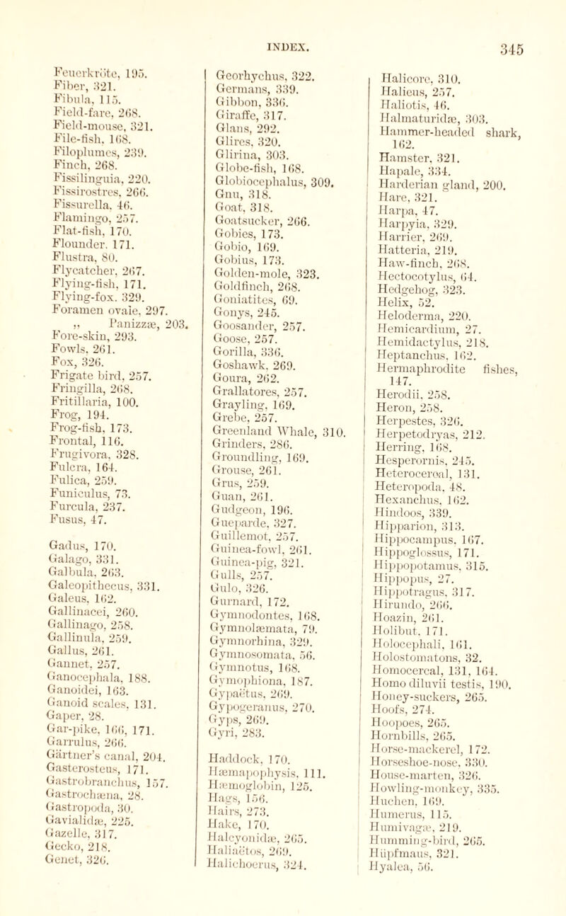 Feuerkröte, 1!)5. Fiber, 321. Fibula, 115. Field-fare, 268. Field-mouse, 321. File-iish. 168. Filoplumcs, 23!). Finch, 268. Fissilinguia, 220. Fissirostres, 266. Fissurella, 46. Flamingo, 257. Flat-fish, 170. Flounder. 171. Flustra, 80. Flycatcher, 267. Flying-fish, 171. Flying-fox. 329. Foramen ovale, 297. „ Panizzm, 203. Fore-skin, 293. Fowls, 261. Fox, 326. Frigate bird, 257. Fringilla, 268. Fritillaria, 100. Frog, 194. Frog-fish, 173. Frontal, 116. Frugivora, 328. Fulcra, 164. Fulica, 259. Funiculus, 73. Furcula, 237. Fusus, 47. Gad us, 170. Galago, 331. Galbula, 263. Galeopithecus, 331. Galeus, 162. Gallinacei, 260. Gallinago, 258. Gallinula, 259. Gallus, 261. Gannet, 257. Ganocephala, 188. Ganoidei, 163. Ganoid scales, 131. Gaper, 28. Gar-pike, 166, 171. Garrulus, 266. Gartner’s canal, 204. Gasterosteus, 171. Gastrobranehus, 157. Gastrochama, 28. Gastropoda, 30. Gavialidae, 225. Gazelle, 317. Gecko, 218. Genet, 326. Georhychus, 322. Germans, 339. Gibbon, 336. Giraffe, 317. Gians, 292. Glircs, 320. Glirina, 303. Globe-fish, 168. Globiocephalus, 309. Gnu, 318. Goat, 318. Goatsucker, 266. Gobies, 173. Gobio, 169. Gobius, 173. Golden-mole, 323. Goldfinch, 268. Goniatites, 69. Gonys, 245. Goosander, 257. Goose, 257. Gorilla, 336. Goshawk, 269. Goura, 262. Grallatores, 257. Grayling, 169. Grebe, 257. Greenland Whale, 310. Grinders, 286. Groundling, 169. Grouse, 261. Grus, 259. Guan, 261. Gudgeon, 196. Gueparde, 327. Guillemot, 257. Guinea-fowl, 261. Guinea-pig, 321. Gulls, 257.' Gulo, 326. Gurnard, 172. Gymnodontes, 168. Gymnolmmata, 79. Gymnorhina, 329. Gymnosomata, 56. Gymnotus, 168. Gymophiona, 187. Gypaetus, 269. Gypogeranus, 270. Gyps, 269. Gyri, 283. Haddock, 170. Haemapophysis, 111. Haemoglobin, 126. Hags, 156. Hairs, 273. Hake, 170. Halcyonidae, 265. Haliaetos, 269. Halichoerus, 324. Halicore, 310. Halieus, 257. Haliotis, 46. Halmaturidae, 303. Hammer-headed shark- 162. Hamster, 321. Hapale, 334. I Harderian gland, 200. Hare, 321. Harpa, 47. Harpyia, 329. Harrier, 269. Hatteria, 219. Haw-finch. 268. Hectocotylus, 64. Hedgehog, 323. Helix, 52. Heloderma, 220. Hemicardium, 27. Hemidactylus, 218. Heptanchus, 162. Hermaphrodite fishes, 147. Herodii, 258. Heron, 258. Plerpestes, 326. j Herpetodryas, 212. I Herring, 168. : Hesperornis, 245. ; Heteroceroal, 131. ; Heteropoda, 48. Hexanchus, 162. j Hindoos, 339. ! Hipparion, 313. ( Hippocampus, 167. ! Hippoglossus, 171. i Hippopotamus, 315. j Hippopus, 27. j Hippotragus, 317. [ Hirundo, 266. Hoazin, 261. Holibut. 171. Holocephali. 161. Holostomatons, 32. Homocereal, 131, 164. Homo diluvii testis, 190. Honey-suckers, 265. j Hoofs, 274. I Hoopoes, 265. | Hornbills, 265. Horse-mackerel, 172. j Horseshoe-nose, 330. j House-marten, 326. ! Howling-monkey, 335. j Huchen, 169. j Humerus, 115. Humivagse, 219. Humming-bird, 265. Hiipfmaus, 321. Hyalea, 56.