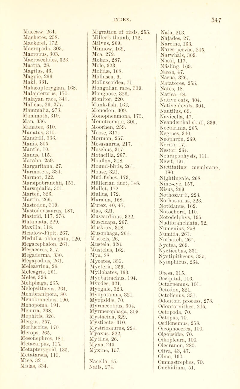 Maccavv, 204. Machetes, 258. Mackerel, 172. Macropodu, 308. Macropus. 303. Macroscelicles, 323. Mactra, 28. Magilus, 43. Magpie, 206. Maki, 331. Malacopterygian, 108. Malapterui’us, 170. Malayan race, 340. Malleus, 20. 277. Mammalia, 273. Mammoth, 310. Man, 336. Manatee, 310. Manatus, 310. Mandrill, 330. Manis, 305. Mantle, 10. Manus, 115. Marabu, 259. Margaritana, 27. Marmosets, 334. Marmot, 322. Marsipobranchii, 153. Marsupialia, 301. Marten, 326. Martin, 200. Mastodon, 319. Mastodonsaurus, 187. Mastoid, 117, 270. Matamata, 229. Maxilla, 118. Meadow-Pipit, 267. Medulla oblongata, 120. Megacephalon, 201. Megacen >s, 317. Megaderma, 330. Megapodius, 201. Meleagrina, 20. Meleagris. 201. Meles, 320. Meliphaga, 205. Melopsittacus, 201. Membranipora, 80. Menobranchus, 190. Menopoma. 191. Menura, 208. Mephitis. 320. Mergus, 257. Merluccius, 170. Merops, 205. Mesonephros, 184. Metacarpus, 115. Metapterygoid, 135. Metatarsus, 115. Mice, 321. Midas, 334. Migration of birds, 255. Miller’s thumb. 172. Milvus, 209. Minnow, 109. Moa, 272. Molars, 287. Mole, 323. Molidse, 108. Mollusca, 9. Molluscoidea, 71. Mongolian race, 339. Mongoose, 320. Monitor, 220. Monk-fish, 102. Monodon, 309. Monopneumona, 175. Monotremata, 300. Moorhen, 259. Moose, 317. Mormon, 257. Mosasaurus, 217. Moschus, 317. Motacilla, 267. Mouflon, 318. Mound-birds, 201. Mouse, 321. Mud-fishes, 173. Mullerian duct, 148. Mullet, 172. Mullus, 172. Muriena, 168. Murex. 40, 47. Mus, 321. Muscardinus, 322. Muscicapa, 267. Musk-ox, 318. Musophaga, 204. Mussels, 20. 1 Mustela, 320. | Mustelus, 102. ; Mya, 28. Mycetes, 335. Mycteria, 259. Myliobates, 103. Myobatrachus, 194. My odes, 321. Myogale, 323. Myopotamus, 321. Myopsidae, 70. Myrmecobius, 304. Myrmecophaga, 305. Mystacina, 329. Mysticete, 310. Mystriosaurus, 224. Myoxus, 322. Mytilus, 20. Myxa, 245. Myxine, 157. Nacella, 45. Nails, 274. Naja, 213. Najades, 27. Narcine, 103. Nares pervise, 245. Narwhals, 309. Nasal, 117. Näsling, 169. Nassa, 47. Nasua, 320. Natatores, 255. Nates, 18. I Natica, 48. Native cats, 304. Native devils. 304. j Nautilus. 69. Navicella, 47. Neanderthal skull, 339. Nectarinia, 205. Negroes, 340. Neophron, 269. i Nerita. 47. ] Nestor, 264. Neurapophysis, 111. Newt. 191.“ Nictitating membrane, 180. Nightingale, 268. Nine-eye, 157. Nisus, 269. Nothosaurii, 223. Nothosaurus, 223. Notidanus, 102. Notochord, 110. Notodelphys, 195. Nudibranchiata, 52. Numenius, 258. Numida, 201. Nuthatch, 267. Nyctea, 209. Nycticebus, 331. Nyctipithecus, 335. Nymphicus, 204. Obesa, 315. Occipital, 116. Octacnemus, 101. Octodon, 321. Octolicnus, 331. Odontoid process, 278. Odontornithes, 245. Oetopoda, 70. Octopus, 70. Oedicnemus, 258. Oicophocerca, 100. Oigopsida;, 70. Oikopleura, 100. Olecranon, 280. Oliva, 43, 47. Ohne, 190. Ommastrephes, 70. Onchidium, 51.