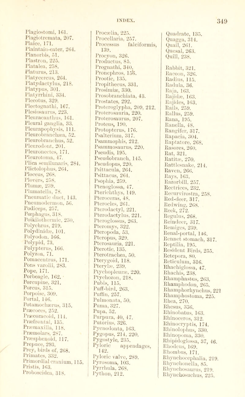 Plagiostomi, 101. Plagiotremata, 207. Plaice, 171. Plaintaiu-eater, 204. Planorbis, 51. Plastron, 225. Platalea. 25S. Platurus, 213. Platycercus, 204. Platydactylus, 218. Platypus, 301. Platyrrbini, 334. Plecotus, 329. Plectognathi. 167. Plesiosaurus, 223. Pleuracanthus. 101. Pleural ganglia, 33. Pleurapophy.sis, 111. Pleurobranchiea, 52. Pleurobranchus, 52. Pleurodont. 201. Pleuroneetes, 171. Pleurotoma, 47. Plica semilunaris, 284. Plictoloplius, 204. Ploceus, 268. Plovers, 258. Plumas, 239. Plumatella, 78. Pneumatic duct, 143. Pneumodermon, 50. Podiceps, 257. Poephagus, 318. Poikilothermie, 230. Polychrus, 219. Polydinidie, 101. Polyodon, 106. Polypid, 73. Polypterus, 100. Polyzoa, 71. Pomacentrus, 171. Pons varolii, 283. Pope, 171. Porbeagle, 102. Porcupine, 321. Porcus, 315. Porpoise. 309. Portal, 140. Potamoclnerus. 315. Praecoces, 252. Prsecoracoid, 114. Praefrontal, 135. Priemaxilla, 118. Praemolars, 287. Prsesphenoid, 117. Prepuce, 293. Prey, birds of, 208. Primates, 332. Primordial cranium, 115. Pristis, 103. Proboscidca, 318. Procselia, 225. Procellaria, 257. Processus falciformis, 139. Procyon, 326. Product us, 85. Prognathi, 340. Pronephros, 15li. Prootic, 135. Propithecus, 331. I Prosimise, 330. Prosobranchiata, 43. Prostates, 292. Proteroglypha, 209. 212. Proterosauria, 220. Proterosaurus, 207. Proteus, 190. j Protopterus, 176. I Psalterium, 317. ] Psammophis, 212. Psammosaurus, 220. j Pseudis, 195. Pseudobranch, 145. Pseudopus, 220. Psittacula, 264. Psittacus, 204. Psophia, 259. Ptenoglossa, 47. j Pterichthys, 149. Pteroceras, 48. Pterocles, 201. I Pterodactyl, 221. Pterodactylus, 221. Pteroglossus, 203. Pteromys, 322. Pteropoda, 53. Pteropus, 329. Pterosauria, 221. Pterotic. 135. Pterotrachea, 50. Pterygoid, 118. I’terybe. 239. j Ptyehopleuras, 220. Ptychozon, 218. I Pubis, 115. [ Puff-bird, 203. Puffin, 257. Pulmonata, 50. Puma, 327. ; Pupa, 52. Purpura, 40, 47. Putorius. 326. Pycnodonta, 163. Pygopus, 214, 220. Pygostyle, 235. Pyloric appendages, 142. Pyloric valve, 289. I Pyrosoma, 103. ! Pyrrhula, 268. | Python, 212. Quadrate, 135. Quagga, 314. Quail, 201. Quesal, 263. Quill, 238. Rabbit, 321. Racoon, 326. Radius, 115. Radula, 36. Raja, 163. Rajidse, 163. Rajides, 103. Rails, 259. Kallus, 259. Rana, 195. Ranella, 48. Rangifer, 317. Rapacia, 304. Raptatore, 268. Rasores, 260. Rat, 321. Ratitar, 270. Rattlesnake, 214. Raven, 260. Rays, 163. Razorbill. 257. Rectrices, 232. Reeurvirostra, 258. Red-deer, 317. Redwing, 208. Reek, 272. Regulus, 268. Reindeer, 317. Remiges, 239. Renal-portal, 146. Rennet stomach, 317. Reptilia, 195. Resident Birds, 255. Retepora, 80. Reticulum, 316. Rhachiglossa, 47. Rhachis, 238. Rhamphastus, 203. Rhamphodon, 205. Rhamphorhynchus, 221 Rhamphostoma, 225. Rhea, 270. Rhesus, 336. Rhinobatus, 163. Rhinoceros, 312. Rhinocryptis, 174. Rhinolophus, 330. Rliinopoma, 330. Rhipidoglossa, 37, 46. Rhodeus, 109. Rhombus, 171. Rhynchocephalia, 219. Rhynchonella, 85. Rhynchosaurus, 219. Rhyncbosuchus, 225.