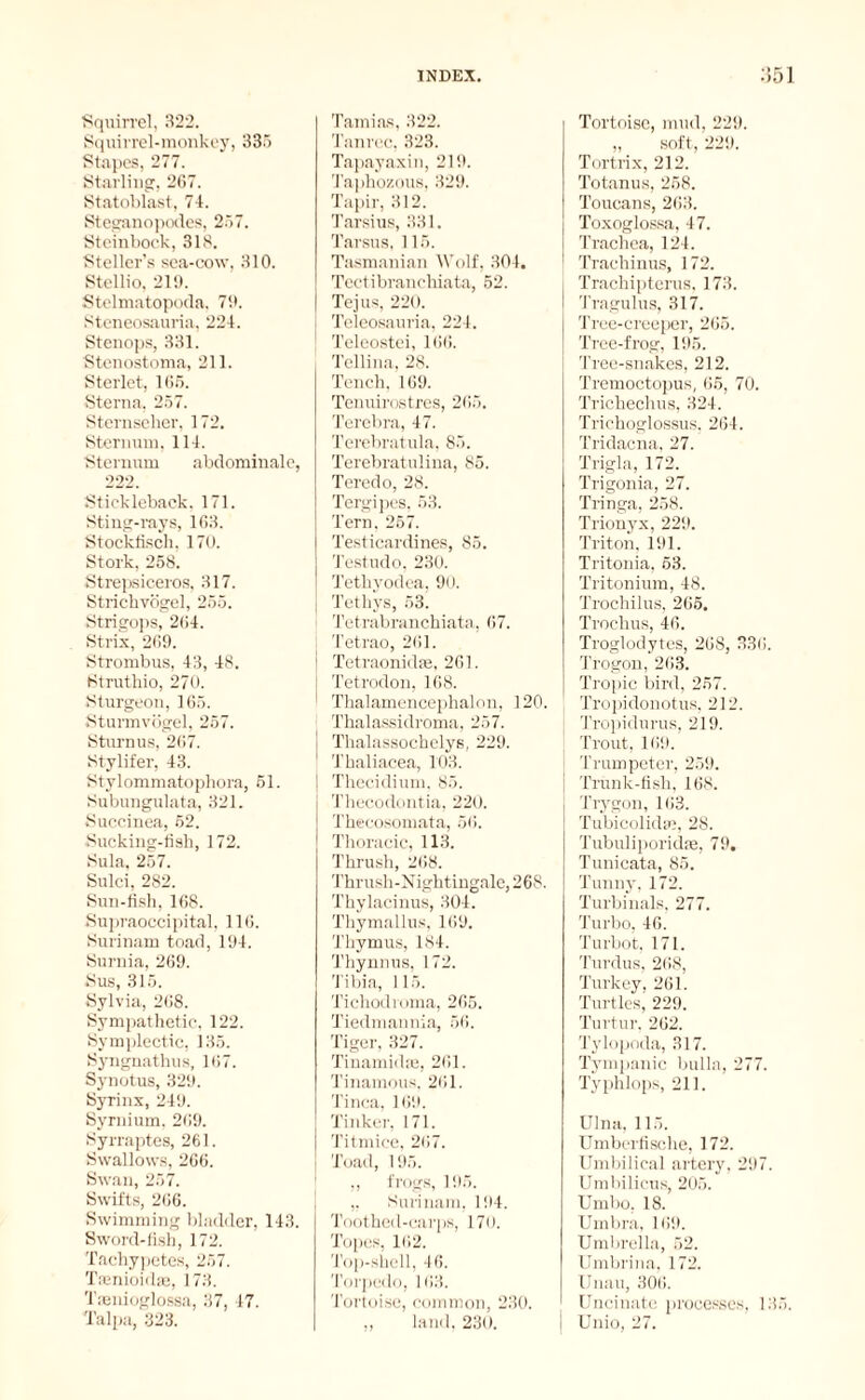 Squirrel, 322. Squirrel-monkey, 335 Stapes, 277. Starling, 267. Statoblast, 74. Steganopodes, 257. Steinbock, 318. Stellcr’s sea-cow, 310. Stellio, 219. Stelmatopoda, 79. Steneosauria, 224. Stenops, 331. Stenostoma, 211. Sterlet, 165. Sterna. 257. Sternseher, 172. Sternum, 114. Sternum abdominale. 222. Stickleback. 171. Sting-rays, 163. Stocklisch, 170. Stork, 258. Strepsiceros, 317. Strichvögel, 255. Strigops, 264. Strix, 269. Strombus, 43, 48. Struthio, 270. Sturgeon, 165. Sturmvögel, 257. Sturnus, 267. Stylifer, 43. Stylommatophora, 51. Subungulata, 321. Succinea, 52. Sucking-fish, 172. Sula, 257. Sulci, 282. Sun-fish, 168. Supraoccipital, 116. Surinam toad, 194. Surnia, 269. Sus, 315. Sylvia, 268. Sympathetic, 122. Symplectic, 135. Syngnathus, 167. Synotus, 329. Syrinx, 249. Syrnium, 269. Syrraptes, 261. Swallows, 266. Swan, 257. Swifts, 266. Swimming bladder, 143. Sword-fish, 172. Taehypetes, 257. Tamioid®, 173. Taenioglossa, 37, 47. Talpa, 323. Tamias, 322. Tanrec, 323. Tapayaxin, 219. Taphozous, 329. Tapir, 312. Tarsius, 331. Tarsus, 115. Tasmanian Wolf, 304. Tectibranchiata, 52. Tejus, 220. Teleosauria, 224. Teleostei, 166. Tellina, 28. Tench, 169. Tenuirostres, 265. Tercbra, 47. Terebratula, 85. Terebratulina, 85. Teredo, 28. Tergipes, 53. Tern. 257. Testicardines, 85. Testudo, 230. Tethyodea, 90. Tethys, 53. Tetrabranchiata, 67. Tetrao, 261. ' Tetraonidse, 261. Tetrodon, 168. Thalamencephalon, 120. Thalassidroma, 257. I Thalassochelys, 229. Thaliacea, 103. Thecidium, 85. Thecodontia, 220. Thecosomata, 56. Thoracic, 113. Thrush, 268. Thrush-Nightingale, 268. Thylacinus, 304. Thymallus, 169. Thymus, 184. Thynnus, 172. Tibia, 115. Tichodroma, 265. Tiedmannia, 56. Tiger, 327. Tinamidfe, 261. Tinamous, 261. Tinea, 169. Tinker, 171. Titmice, 267. Toad, 195. ,, frogs, 195. ,, Surinam, 194. Toothed-carps, 17(). Topes, 162. Top-shell, 46. Torpedo, 163. Tortoise, common, 230. ,, land, 230. Tortoise, mud, 229. „ soft, 229. Tortrix, 212. Totanus, 258. Toucans, 263. Toxoglossa, 47. Trachea, 124. Traehinus, 172. Trachipterus, 173. Tragulus, 317. Tree-creeper, 265. Tree-frog, 195. Tree-snakes, 212. Tremoctopus, 65, 70. Trichechus, 324. Trichoglossus, 264. Tridacna, 27. Trigla, 172. Trigonia, 27. Tringa, 258. Trionyx, 229. Triton. 191. Tritonia, 63. Tritonium, 48. Trochilus, 265. Trochus, 46. Troglodytes, 268, 33(i. Trogon, 263. Tropic bird, 257. I Tropidonotus, 212. | Tropidurus, 219. | Trout, 169. I Trumpeter, 259. j Trunk-fish, 168. Trygon, 163. Tubicolkhe, 28. Tubuliporidfe, 79. Tunicata, 85. Tunny, 172. Turbinals, 277. Turbo, 46. Turbot, 171. Turdus, 268, Turkey, 261. Turtles, 229. Turtur. 262. Tylopoda, 317. Tympanic bulla, 277. Typhlops, 211. Ulna, 115. Umberfische, 172. Umbilical artery, 297. Umbilicus, 205. Umbo. 18. Umbra, 169. Umbrella, 52. Umbrina, 172. Unau, 306. Uncinate processes. 135. j Unio, 27.