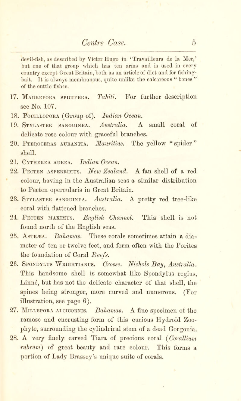 devil-fish, as described by Victor Hugo in ‘ Travailleurs de la Mer,’ but one of tliat group which has ten arms and is used in every country except Great Britain, both as an article of diet and for fishing- bait. It is always membranous, quite unlike the calcareous “ bones ” of the cuttle fishes. 17. Madiiepora spicifera. Tahiti. For further description see No. 107. 18. Pocillopora (Group of). Indian Ocean. 19. Stylaster sanguinea. Australia. A small coral of delicate rose colour with graceful branches. 20. Pteroceras aurantia. Mauritius. The yellow “ spider ” shell. 21. Cytherea aurea. Indian Ocean. 22. Pecten asperrimus. New Zealand. A fan shell of a red colour, having in the Australian seas a similar distribution to Pecten opercularis in Great Britain. 23. Stylaster sanguinea. Australia. A pretty red tree-like coral with flattened branches. 24. Pecten maximus. English Channel. This shell is not found north of the English seas. 25. AsTRiEA. Bahamas. These corals sometimes attain a dia¬ meter of ten or twelve feet, and form often with the Porites the foundation of Coral Beefs. 26. Spondylus Wrigiitianus. Crosse. Nichols Bag, Australia. This handsome shell is somewhat like Spondylus regius, Linne, but has not the delicate character of that shell, the spines being stronger, more curved and numerous. (For illustration, see page 6). 27. Millepora alcioornis. Bahamas. A fine specimen of the ramose and encrusting form of this curious Hydroid Zoo¬ phyte, surrounding the cylindrical stem of a dead Gorgonia. 28. A very finely carved Tiara of precious coral (Corallium rubrum) of great beauty and rare colour. This forms a portion of Lady Brassey’s unique suite of corals.