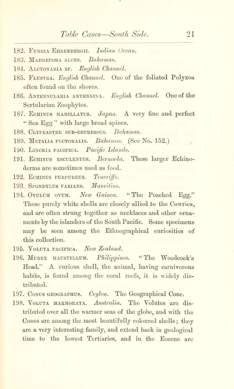 182. Fungia Ehrenbergii. Indian Ocean. 183. Madbepoka alces. Bahamas. 184. Alcyonaria sp. English Channel. 185. Flustra. English Channel. One of tlic foliated Polyzoa often found on the shores. 186. Antennularia antennina. English Channel. One of the Sertularian Zoophytes. 187. Echinus hamillatus. Japan. A very fine and perfect “ Sea Egg ” with large broad spines. 188. Clypeaster sub-depbessus. Bahamas. 189. Metalia pectoralis. Bahamas. (See No. 152.) lyO. Linckia pacifica. Pacific Islands. 191. Echinus esculentus. Bermuda. These larger Ecliino- derms are sometimes used as food. 192. Echinus purpureus. Teneriffe. 193. Spondylus varians. Mauritius. 194. Ovuluh ovum. New Guinea. “ The Poached Egg.” These purely white shells are closely allied to the Cowries, and are often strung together as necklaces and other orna¬ ments by the islanders of the South Pacific. Some specimens may be seen among the Ethnographical curiosities of this collection. 195. Voluta pacifica. New Zealand. 196. Murex haustellum. Philippines. “ The Woodcock’s Head.” A curious shell, the animal, having carnivorous habits, is found among the coral reefs, it is widely dis¬ tributed. 197. Conus geographus. Ceylon. The Geographical Cone. 198. Voluta marmorata. Australia. The Volutes are dis¬ tributed over all the warmer seas of the globe, and with the Cones are among the most beautifully coloured shells; they are a very interesting family, and extend back in geological time to the lowest Tertiaries, and in the Eocene are