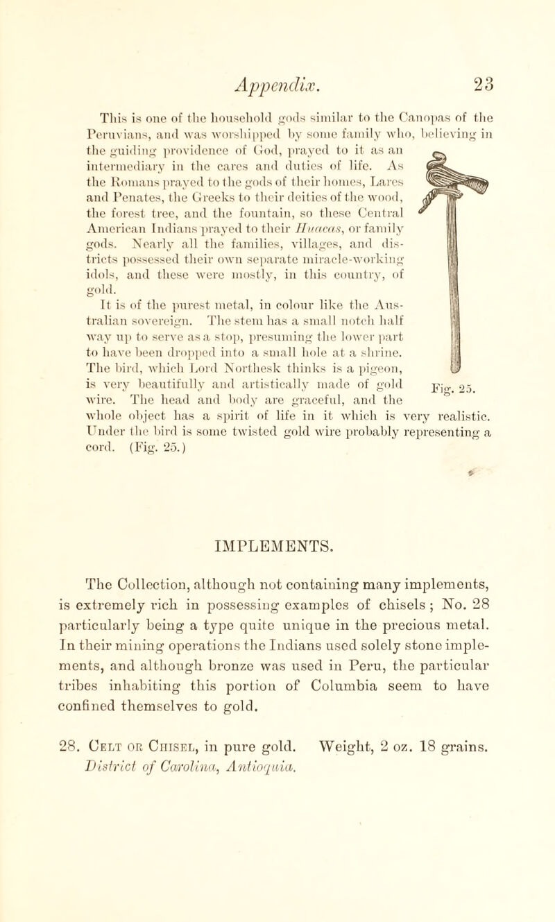 This is one of the household gods similar to the Canopas of the Peruvians, and was worshipped by some family who, believing in the guiding providence of God, prayed to it as an intermediary in the cares and duties of life. As the Romans prayed to the gods of their homes, Lares and Penates, the Greeks to their deities of the wood, the forest tree, and the fountain, so these Central American Indians prayed to their Huacas, or family gods. Nearly all the families, villages, and dis¬ tricts possessed their own separate miracle-working idols, and these were mostly, in this country, of gold. It is of the purest metal, in colour like the Aus¬ tralian sovereign. The stem has a small notch half way up to serve as a stop, presuming the lower part to have been dropped into a small hole at a shrine. The bird, which Lord Northe.sk thinks is a pigeon, is very beautifully and artistically made of gold wire. The head and body are graceful, and the whole object has a spirit of life in it which is very realistic. Under the bird is some twisted gold wire probably representing a cord. (Fig. 25.) IMPLEMENTS. The Collection, although not containing many implements, is extremely rich in possessing examples of chisels ; No. 28 particularly being a type quite unique in the precious metal. In their mining operations the Indians used solely stone imple¬ ments, and although bronze was used in Peru, the particular tribes inhabiting this portion of Columbia seem to have confined themselves to gold. 28. Celt or CniSEL, in pure gold. Weight, 2 oz. 18 grains. District of Carolina, Antioquia.