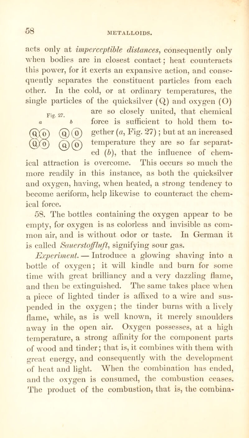 acts only at imperceptible distances, consequenlly only when bodies are in closest contact; heat counteracts this power, for it exerts an expansive action, and conse¬ quently separates the constituent particles from each other. In the cold, or at ordinary temperatures, the single particles of the quicksilver (Q) and oxygen (O) Fi^ 27 are so closely united, that chemical a b force is sufficient to hold them to- (gXq) (q) ( o) gether (a, Fig. 27); but at an increased (g/o) @@ temperature they are so far separat¬ ed (b), that the influence of chem¬ ical attraction is overcome. This occurs so much the more readily in this instance, as both the quicksilver and oxygen, having, when heated, a strong tendency to become aeriform, help likewise to counteract the chem¬ ical force. 58. The bottles containing the oxygen appear to be empty, for oxygen is as colorless and invisible as com¬ mon air, and is without odor or taste. In German it is called Sauerstoffluft, signifying sour gas. Experiment. — Introduce a glowing shaving into a bottle of oxygen; it will kindle and burn for some time with great brilliancy and a very dazzling flame, and then be extinguished. The same takes place when a piece of lighted tinder is affixed to a wire and sus¬ pended in the oxygen; the tinder burns with a lively flame, while, as is well known, it merely smoulders away in the open air. Oxygen possesses, at a high temperature, a strong affinity for the component parts of wood and tinder; that is, it combines with them with great energy, and consequently with the development of heat and light. When the combination has ended, and the oxygen is consumed, the combustion ceases. The product of the combustion, that is, the combina-