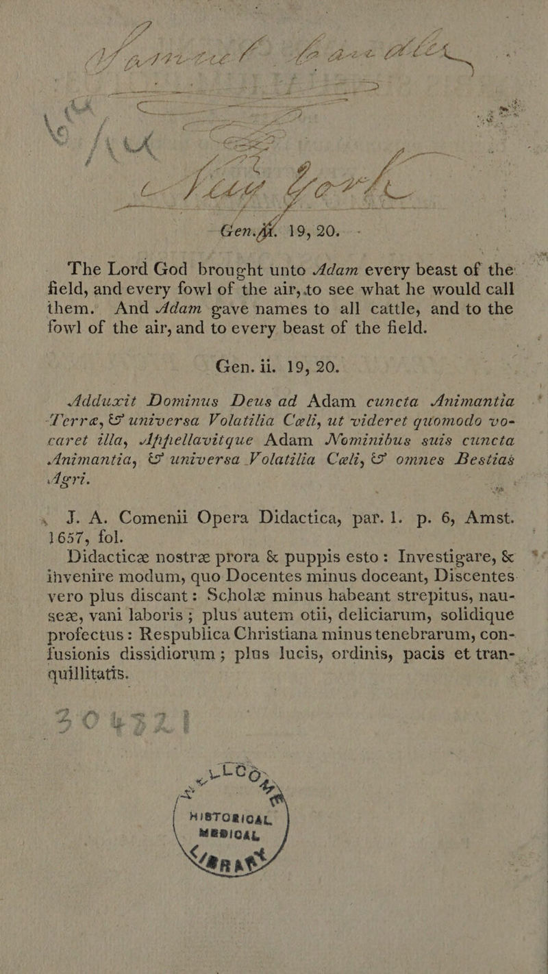 ttu A fe aed ALA te ,. d E 2 pan —&gt; ya ad. Bi” ER The Lord God brought unto Adam every beast of the field, and every fowl of the air,.to see what he would call them. And dam gave names to all cattle, and to the fowl of the air, and to every beast of the field. Gen. ii. 19, 20. Adduxit Dominus Deus ad Adam cuncta. Animantia Terra, universa Volatilia Celi, ut videret quomodo vo- caret illa, Jfifiellaoitque Adam JVominibus suis cuncta Animantia, &amp;' universa Volatilia Caeli, &amp; omnes Bestias Agri. Pm ‘ J. A. Comenii Opera Didactica, par.1. p. 6, Amst. 657, fol. Didactice nostree prora &amp; puppis esto: Investigare,&amp; *' ihvenire modum, quo Docentes minus doceant, Discentes. vero plus discant: Scholz minus habeant strepitus, nau- sex, vani laboris ; plus autem otii, deliciarum, solidique profectus : Respublica Christiana minus tenebrarum, con- fusionis dissidiorum ; plus lucis, ordinis, pacis et tran- . quillitatis. | Jy A   - 2 A4» 1, v 3 k hc.   HIBTORIOAL MEDICAL, C anat  