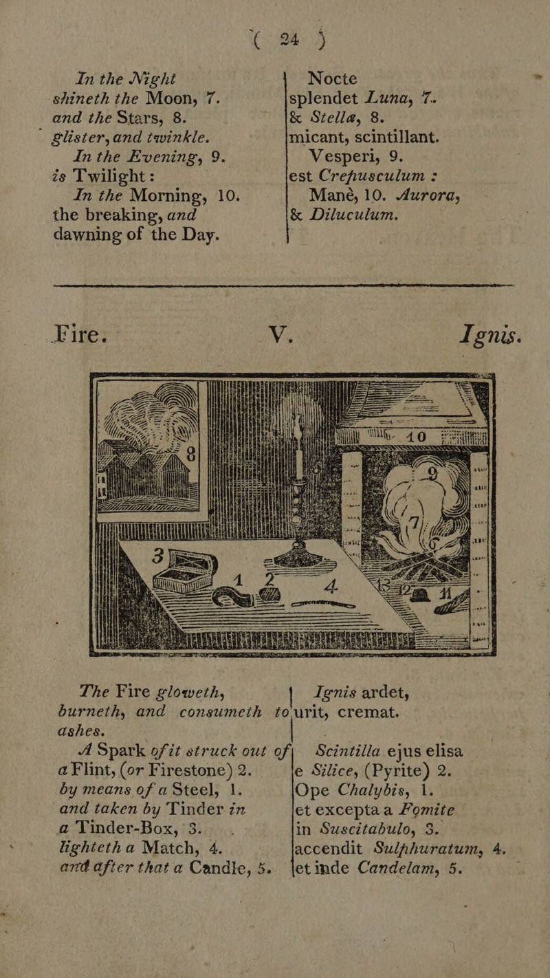 In the Nighi -shineth the Moon, 7. and the Stars, 8.  glister,and twinkle. In the Evening, 9. ts Twilight : In the Morning, 10. the breaking, and dawning of the Day.  a Flint, (or Firestone) 2. by means of a Steel, 1. and taken by Tinder in a Tinder-Box, 3. lighteth a Match, 4. 24 j Nocte splendet Luna, 7. &amp; Stella, 8. micant, scintillant. Vesperi, 9. est Crehusculum : Mané, 10. Aurora; &amp; Diluculum. Ignis ardet, e Silice, (Pyrite) 2. Ope Chalybis, 1. et excepta a omite | in Suscitabulo, 3. accendit Sulphuratum, 4.