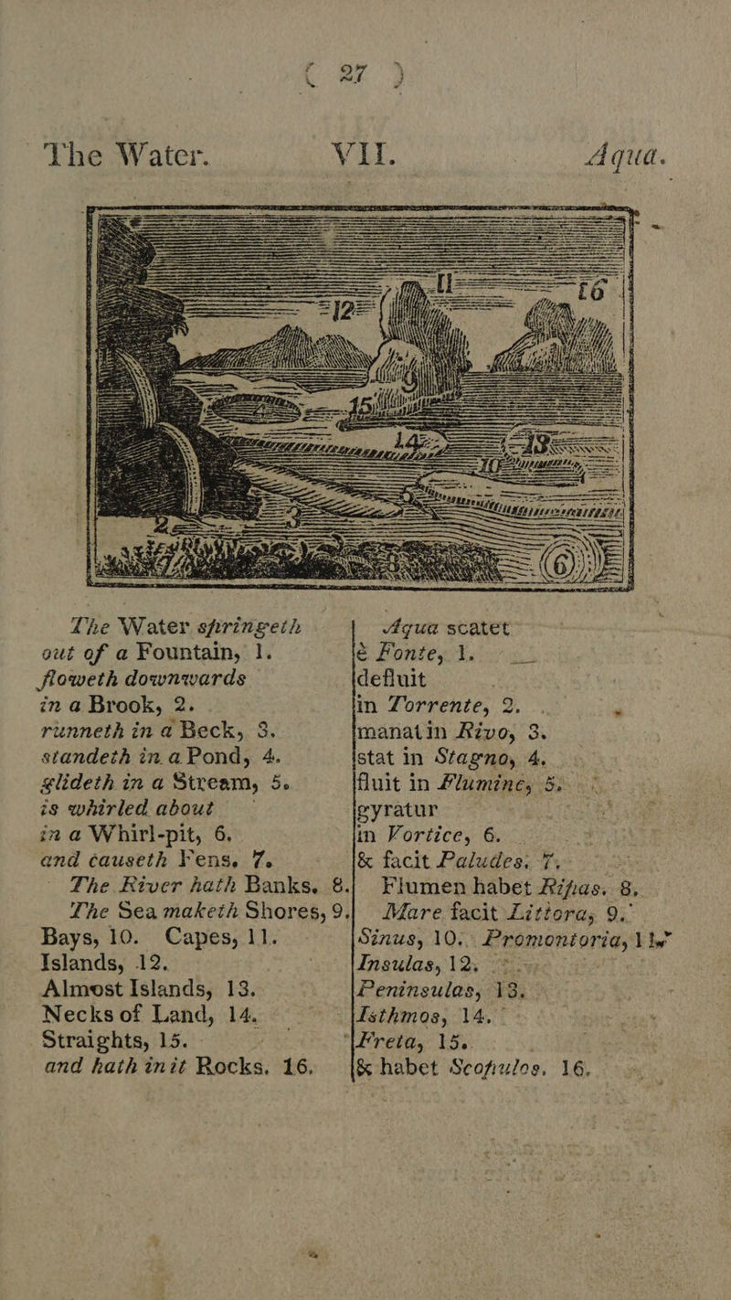 Le  The Water springeth Aqua scatet out of a Fountain, 1. € Fontey; Y... x: floweth downwards defluit in a Brook, 2. in Zorrente, 2. 2 runneth in a Beck, 3. manatin Rivo, 3. standeth in a Pond, 4. stat in Stagno, 4. &amp;lideth in a Stream, 5. fluit in #lumine, 5... is whirled about — gyratur in a Whirl-pit, 6. in Vortice, 6... and causeth Fens. 7. &amp; facit Paludes: 7. The River hath Banks, 8.| Flumen habet Rifas. 8, The Sea maketh Shores, 9.| Mare facit Litiora, 9. Bays, 10. Capes, 11. Sinus, 10. ii rasis Islands, 12. —— Hmsuias, 12. Almost Islands, 13. Peninsulas, 13, Necks of Land, 14. Jsthmos, 14. Straights, 15. - : reta, 15.. and hath init Rocks. 16. [o habet Scopiulos. 16,