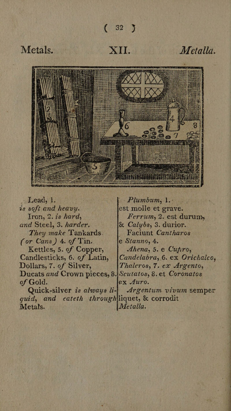 E INNER    … Lead, 1. i Fer Plumbum; 1... ie soft and heavy. —— est molle et grave. Iron, 2. is hard, Ferrum, 2. est durum, and Steel, 3. harder. &amp; Calyds, 3. durior. They make Tankards. | Faciunt Cantharos (or Cans) 4. of Tin. e Stanno, 4. Kettles, 5. of Copper, Ahena, 5. e Cufiro, Candlesticks, 6. of Latin, |Candelaóra,.6. ex Orichaico, Dollars, 7. of Silver, Thaleros, 7. ex Argento, Ducats and Crown pieces, 8.|Scutatos, 8. et Coronatos of Gold. ex Juro. Quick-silver zs always li-| Argentum vivum semper guid, and eateth through|liquet, &amp; corrodit Metals. Metalla. ee ee a dT
