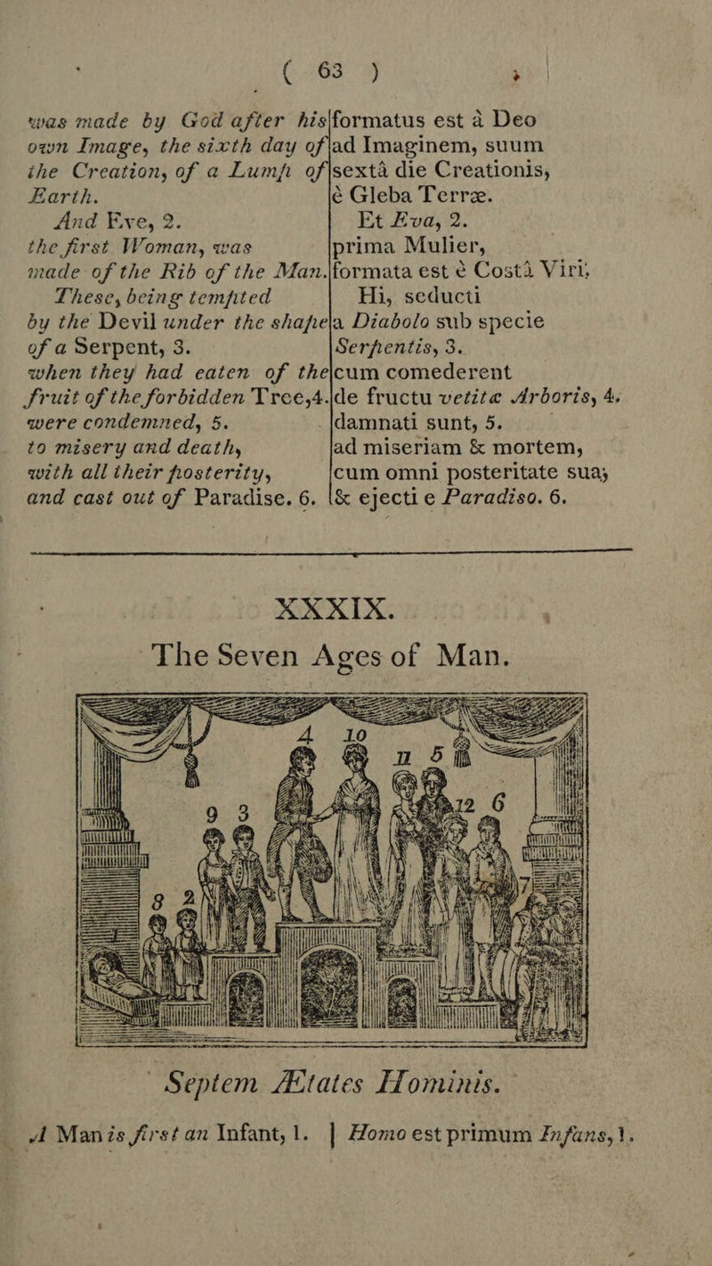 (403 9} > was made by God after hislformatus est à Deo own Image, the sixth day oflad Imaginem, suum ihe Creation, of a Lump of|sextà die Creationis, Earth, é Gleba Terre. And Eve, 2. Et Eva, 2. the first Woman, was prima Mulier, made of the Rib of the Man.formata est € Costà Viri; These, being temfited Hi, seducti by the Devil under the shafrela Diabolo sub specie of a Serpent, 3. Serfientis, 3. when they had eaten of thejcum comederent Fruit of the forbidden 'Trce,4.|de fructu vetzte Arboris, 4. were condemned, 5. . damnati sunt, 5. : to misery and death, ad miseriam & mortem, with all their posterity, cum omni posteritate sua; and cast out of Paradise. 6. !& ejecti e Paradiso. 6. XXXIX. The Seven Ages of Man. DD) mi EN HEU it RII iil li o ap dS M —À Septem. /Etates Hominis. |