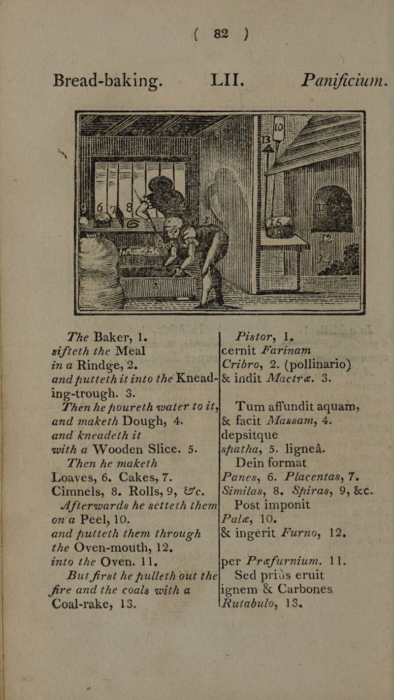     and maketh Dough, 4. &amp; facit Massam, 4. and kneadeth it depsitque with a Wooden Slice. 5. — |sfatha, 5. ligneâ. Then he maketh Dein format . Loaves, 6. Cakes, 7. Panes, 6. Placentas, 7. Cimnels, 8. Rolls, 9, &amp;c. |Similas, 8. Shiras, 9, &amp;é. Afterwards he setteth them| Post imponit on a Peel, 10. Pale, 10. and hutteth them through |&amp; ingerit Furno, 12, the Oven-mouth, 12. into the Oven. 11. per Prefurnium. ll. But first he hulleth out the| Sed priàs eruit Are and the coals with a ignem &amp; Carbones
