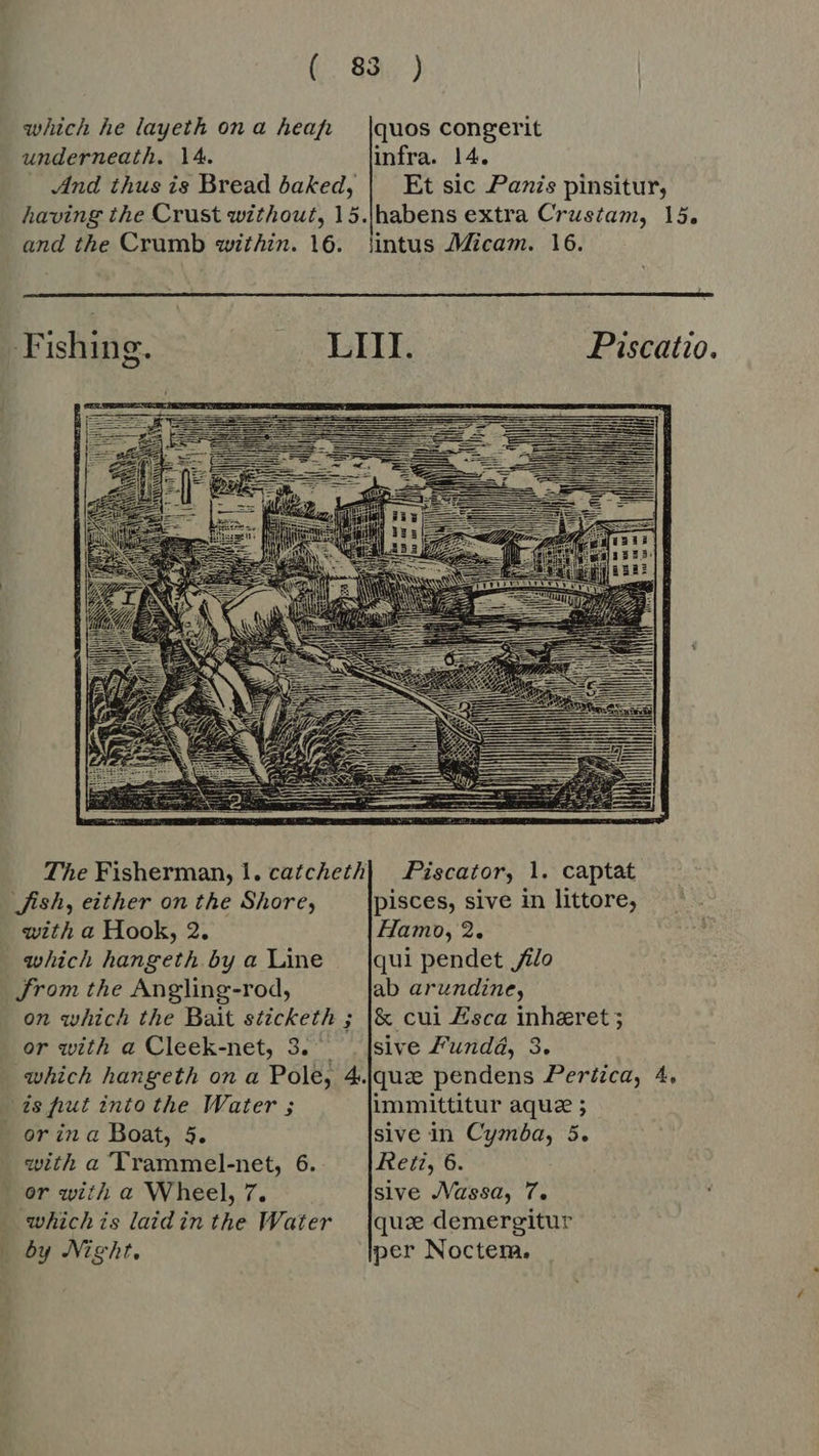 which he layeth on a heap, |quos congerit underneath. 14. infra. 14. And thus is Bread baked, | Et sic Panis pinsitur, having the Crust without, 15. habens extra Crustam, 15. and the Crumb within. 16. intus Micam. 16. Fishing. LIII. Piscatio. The Fisherman, |. catcheth| Piscator, 1. captat Ash, either on the Shore, pisces, sive in littore, with a Hook, 2. Hamo, 2. which hangeth by a Line |qui pendet o Jrom the Angling-rod, ab arundine, on which the Bait sticketh ; |& cui Esca inheret ; or with a Cleek-net, 3. [sive Funda, 3. which hangeth on a Pole, 4..que pendens Pertica, 4. is hut into the Water ; immittitur aque ; - or in a Boat, 5. sive in Cymba, 5. with a 'Trammel-net, 6. Reti, 6. or with a Wheel, 7. sive JVassa, 7. whichis laid in the Water {quo demergitur by Night. per Noctem,