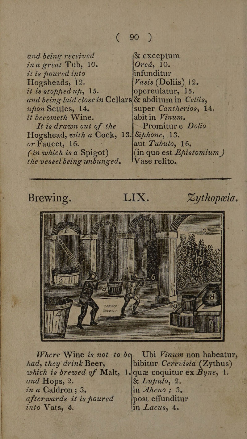 LTT Te ede id Gek On a ot men indir ande id ee Pae Pe ( 99.) and being received & exceptum Hogsheads, 12. Vasis (Doliis) 12. it is stohfhied uf, 15. | operculatur, 15. and being laid close in Cellars|& abditum in Ce/Zs, upon Settles, 14. super Canzherios, 14. it becometh Wine. abitin Vinum. It is drawn out of the - Promitur e Dolio Hogshead, with a Cock, 13.| Shhone, 13. or Faucet, 16. ; aut Z'uóulo, 16. (in which is a Spigot) (in quo est Ri aes 7j the vessel being unbunged. ‘Vase relito. Brewing. LIX. Zythopeia, Where Wine is not to be, Ubi Vinum non habeatur, had, they drink Beer, bibitur Cerevisia (Zythus) which is brewed of Malt, 1.\quz pu ex Byne, 1. and Hops, 2. & Lupulo, 2 in a Ceddron - di in Aheno ; 3. afterwards itisfioured {post effunditur into Vats, 4. in Lacus, 4.
