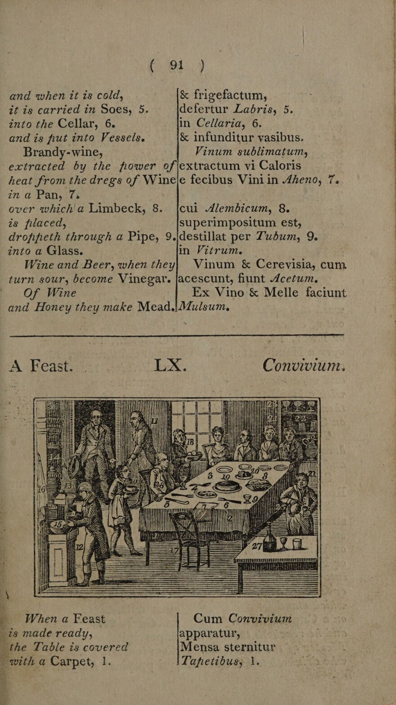 and when it is cold, |^. |& frigefactum, it is carried in Soes, 5. defertur Labris, 5. into the Cellar, 6. in Cellaria, 6. and is fut into Vessels. & infunditur vasibus. Brandy-wine, Vinum sublimatum, extracted by the frower of|extractum vi Caloris heat from the dregs of Wineje fecibus Viniin Aheno, 7. in a Pan, 7. over which'a Limbeck, 8. [cui Alembicum, 8. is placed, superimpositum est, drofiheth through a Pipe, 9.{destillat per Z'uóum, 9. into a Glass. in Vitrum. | Wine and Beer, when they| Vinum & Cerevisia, cum turn sour, become Vinegar. Jacescunt, fiunt Acetum, ' Of Wine | Ex Vino & Melle faciunt and Honey they make Mead.|Mulsum, A Feast. . LX. Convivium. i a 8 When a Feast Cum Convivium ^ is made ready, apparatur, the Table is covered Mensa sternitur with a Carpet, 1. Tafhetibus, 1. 1 à d x
