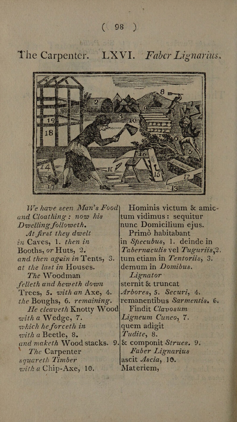 t The Carpenter. LXVI. Faber Lignarius.    We have seen Man's Food) Hominis victum &amp; amic- and Cloathing : now his | |tum vidimus: sequitur Dwelling followeth. nunc Domicilium ejus. At first they dwelt Primò habitabant in Caves, 1. then in in Shecubus, 1. deinde in Booths, or Huts, 2. Tabernaculis vel Tuguriis,2. and then ageinin Tents, 3. tum etiam in Z'entorZs, 3. at the last in Houses. demum in Domibus. The Woodman | Lignator felleth and heweth down sternit &amp; truncat Trees, 5. withan Axe, 4. |Arbores, 5. Securi, 4. the Boughs, 6. remaining. |remanentibus Sarmentis. 6. — | He cleaveth Knotty Wood) Findit Clavosum witha Wedge, 7. Ligneum Cuneo, 7. qwhich he forceth in quem adigit : qvith a Beetle, 8. T'udite, 8. and maketh Wood stacks. 9.|&amp; componit Strues. 9. } The Carpenter . Faber Lignarius » sguareth Timber ascit Ascia, 10. qwith a Chip-Axe, 10. Materiem, 