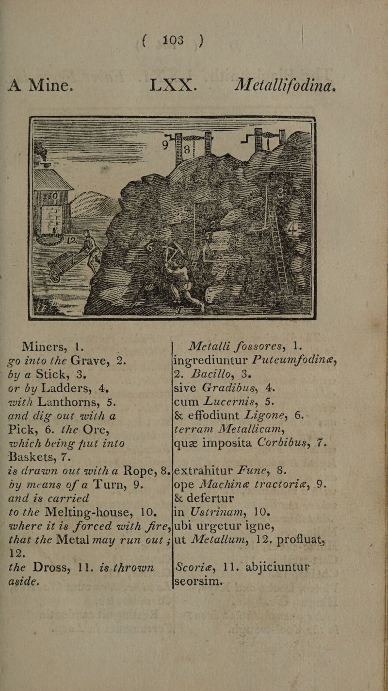 C 0374) A Mine. LXX. Metallifodina.      Miners, |. , Metalli fossores, 1. zo into the Grave, 2. ingrediuntur Puteumfodine, by a Stick, 3. | 2. Bacillo, 3. or by Ladders, 4. sive Gradibus, 4. with Lanthorns, 5. . cum Lucernis, 5. and dig out with a &amp; effodiunt Lieone, 6. Pick, 6. the Ore, terram Metallicam, which being hut into que imposita Corbibus, 7. Baskets, 7. is drawn out witha Rope, 8.jextrahitur Pune, 8. by means of a Turn, 9. ope Machina tractorie, 9. and is carried &amp; defertur to the Melting-house, 10. fin Ustrinam, 10. where it is forced with firejubi urgetur igne, that the Metal may run out ;jut Metallum, 12. profluat, 12. aside. seorsim. 