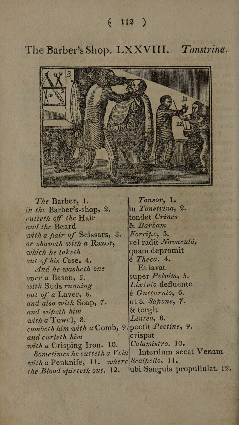 Tonstring. The Barber, 1. ih the Barber’s-shop, 2. cutteth off the Hair and the Beard with a pair of Scissars, 3. or shaveth with a Razory which he taketh ; out of his Case. 4. And he washeth one over a Bason, 5. with Suds running out of a Laver, 6. and also with Soap, 7. and wifreth him witha Towel, 8. Tonsor, l. . in Z'onstrina, 2. tondet Crines & Barbam Forcifhe, 3. vel radit Vovaculd, quam depromit é Theca. 4. Et lavat super Pelvim, 5. Lixivio defluente é Gutturnio, 6. & tergit Linteo, 8. and curleth him with a Crisping Iron. 10. Sometimes he cuttetha Vein «ith a Penknife, 11. crispat Calamistro. 10. Interdum secat Venam CY Ee REPRE