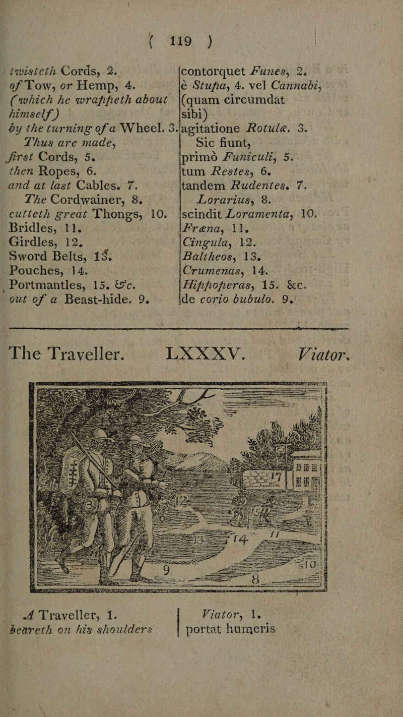 ( X5 J | twisteth Cords, 2. contorquet Funes, 2. of Tow, or Hemp, 4. é Stupa, 4. vel Cannabi, (which he wrappeth about \(quam circumdat himself ) sibi) by the turning of a Wheel. S.jagitatione Rotule. 3. Thus are made, Sic fiunt, Jirst Cords, 5. primo Funiculi, 5. then Ropes, 6. . jtum Restes, 6. and at last Cables. 7. tandem Rudentes. 7. The Cordwainer, 8. Lorarius, 8. cutteth great Thongs, 10. |scindit Loramenta, 10. Bridles, 11. Frena, 11, Girdles, 12, Cingula, 12. Sword Belts, 13. Baltheos, 13. . Pouches, 14. Crumenas, 14. , Portmantles, 15. &amp;c. Hifhfhofheras, 15. &amp;c. out of a Beast-hide. 9. de corio bubulo. 9.  The Traveller. LXXXV. | Viator.  E — Travellet, 1. beareth on his shoulders 