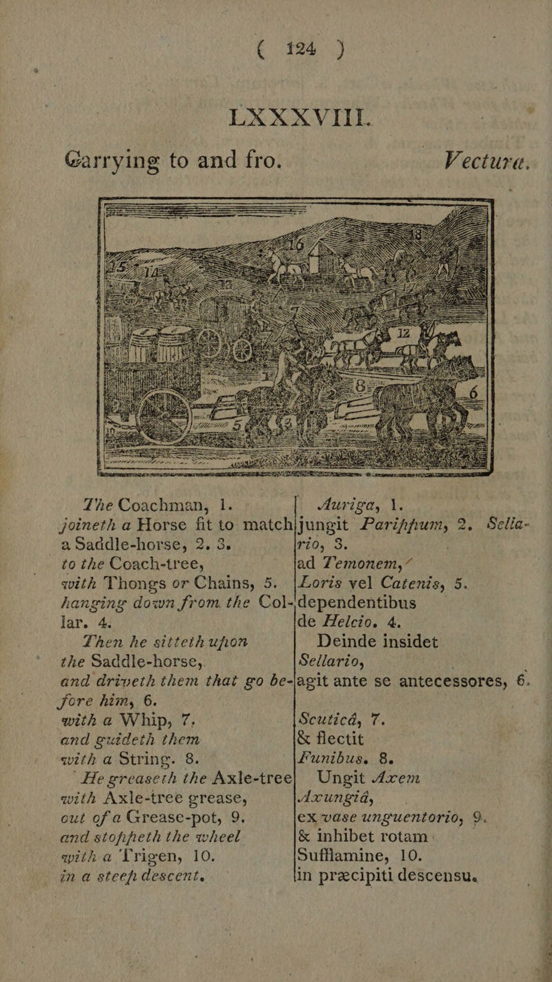 LXXXVIII. Klas: Carrying to and fro. - Fectura.  The Coachman, 1. _ Auriga, 1. joineth a Horse fit to match jungit xcci tei 2. Sella- a Saddle-horse, 2. 3. rio, 8. to the Coach-tree, ad Z'emonem,^ with Thongs or Chains, 5. [Loris vel Catenis, 5. hanging down from the Col- dependentibus lar. 4. de Helcio. 4. Then he sitteth upon Deinde insidet the Saddle-horse, Sellario, and driveth them that go be-lagit ante se antecessores, 6. Jere him, 6. with a Whip, 7. Scuticd, 7. and guideth them &amp; flectit with a String. 8. Funibus. 8. -He greaseth the Axle-tree| Ungit Amer with Axle-tree grease, Axungid, out of a Grease-pot, 9. ex vase unguentorio, 9. and stofiheth the wheel &amp; inhibet rotam. with a 'lrigen, 10. Sufflamine, 10. in a stcefh descent. in praecipiti descensu.