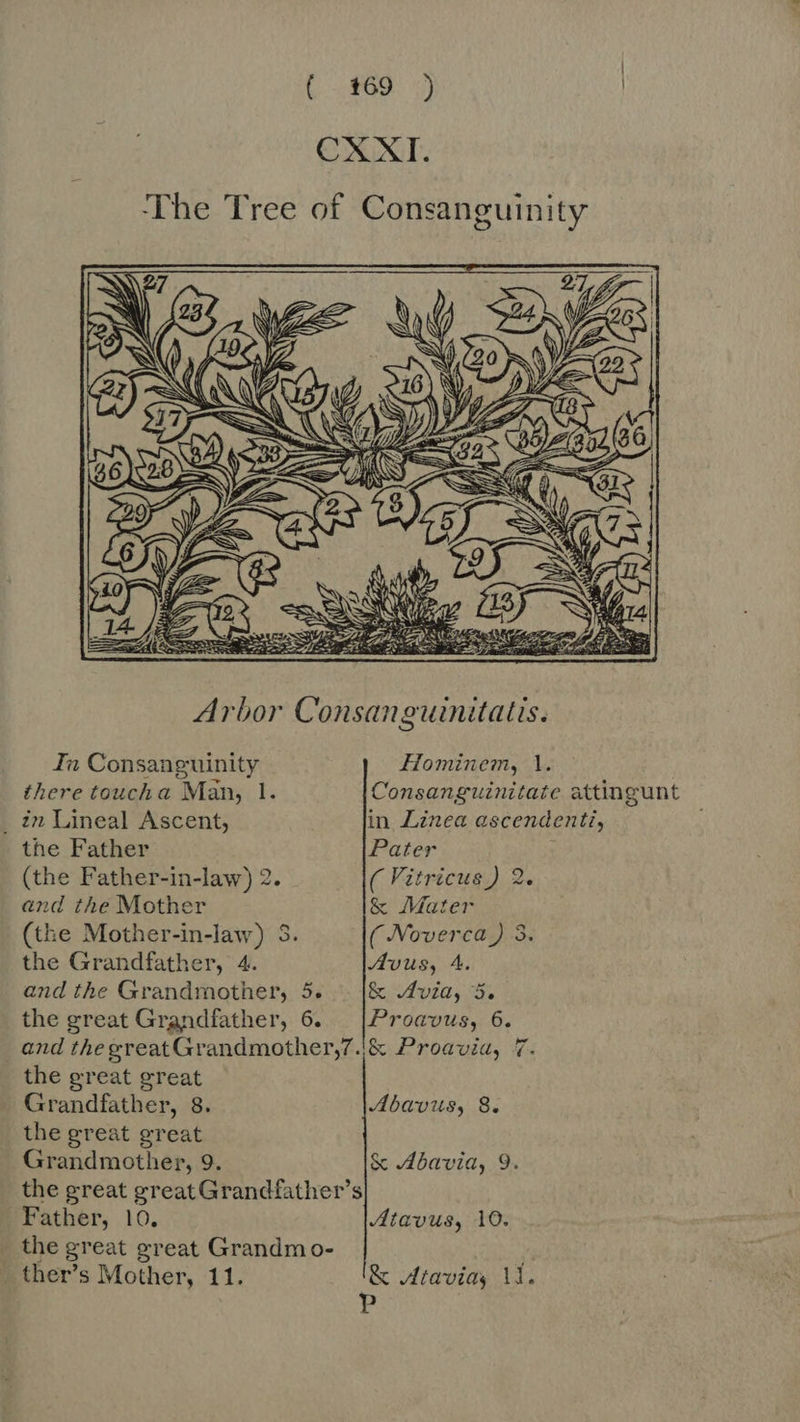 (#69 ) CSXI. ‘The Tree of Consanguinity  Iu Consanguinity Hominem, 1. there toucha Man, 1. Consanguinitate attingunt _ in Lineal Ascent, in Linea ascendenti, the Father Pater (the Father-in-law) 2. ( Vitricus) 2. and the Mother &amp; Mater (the Mother-in-law) 3. ( -Voverca ) 3. the Grandfather, 4. Avus, 4. and the Grandmother, 5. &amp; Avia, 5. the great Grandfather, 6. |Proavus, 6. and the greatGrandmother,7.j&amp; Proavia, 7. the great great Grandfather, 8. Abavus, 8. the great great Grandmother, 9. &amp; Abavia, 9. the great great Grandfather’s Father, 10. Atavus, 10. the great great Grandm o- ther's Mother, 11. '&amp; Atavia, M. B