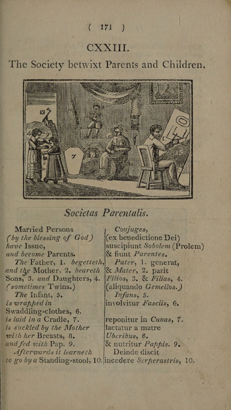 Cart ) CX XIII. The Society betwixt Parents and Children. EDENIS li | | NS N j      Societas Parentalis. . Married Persons Conjuges, (by the blessing of God) (ex benedictione Dei) have Issue, suscipiunt Soóolem (Prolem) and become Parents. &amp; fiunt Parentes. | The Father, 1. begetteth, Pater, 1. generat, _and the Mother, 2. beareth |&amp; Mater, 2. parit - Sons, 3. and Daughters, 4. |Fi/os, 3. &amp; Filias, 4. (sometimes 'T wins.) (aliquando Gemellos.) The Infant, 5. Infans, 5. is wrapped in involvitur Zascés, 6, . Swaddling-clothes, 6. ds laid in a Cradle, 7. reponitur in Cuzas, 7. is suckled by the Mother lactatur a matre with her Breasts, 8. Uberibus, 8. and fed with Pap. 9. &amp; nutritur Pafifiis. 9. _ Afterwards it learneth Deinde discit