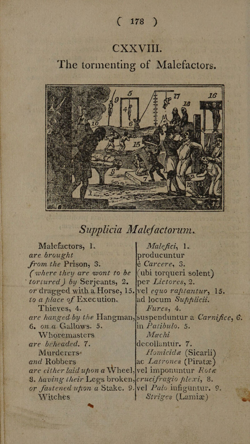 ( 478 &gt; CXXVIII. The tormenting of Malefactors.  Malefactors, 1. ^ Malefici, 1. are brought producuntur Jrom the Prison, 3. è Carcere, 3. (where they are wont to be |(ubi torqueri solent) or dragged with a Horse, 15.|vel eguo rafitantur, 15. to a place of Execution. ad locum Suppiliciz. Thieves, 4. Fures, 4. are hanged by the Hangman,;|suspenduntur a Carzzfice, 6. 6. on a Gallows. 5. in Patibulo. 5. Whoremasters Mechi are beheaded. 7. decollantur. 7. Murderers’ Homicide (Sicarii) and Robbers ac Latrones (Pirate) © are either laid uhon a Wheel,|vel imponuntur Rote 8. having their Legs brokenjerucifragio hlexi, 8. or fastened ufion a Stake. 9.|vel Palo infiguntur. 9. Witches Striges (Lamia) ^ JN 