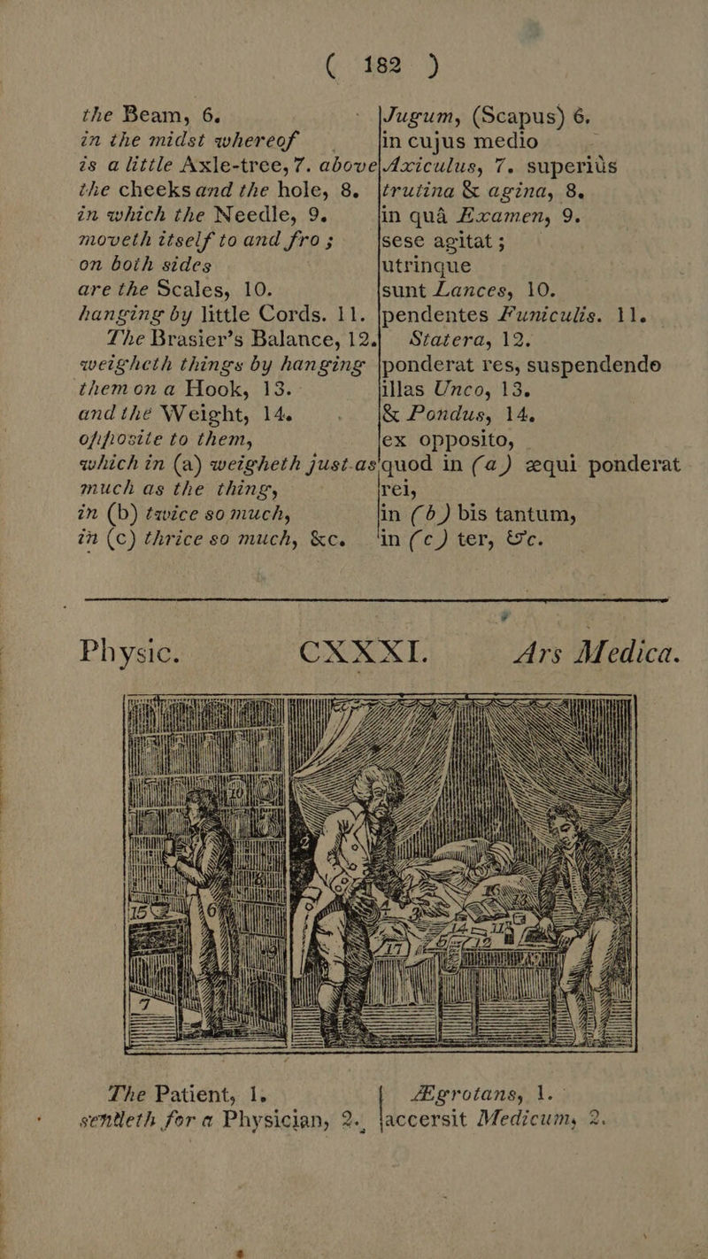 424 o CERNERET . AL mais oe een ( 388. ) the Beam, 6. | Mugum, (Scapus) 6. in the midst whereof. in cujus medio is a little Axle-tree, 7. abowelAxiculus, 7. superiüs the cheeks and the hole, 8. [trutina &amp; agina, 8. in which the Needle, 9. in quà Examen, 9. moveth itself to and fro; ^ |sese agitat; on boih sides | utrinque are the Scales, 10. sunt Lances, 10. hanging by little Cords. 11. |pendentes Funiculis. 11. The Brasier’s Balance, 12.| Statera, 12. weigheth things by hanging \ponderat res, suspendende them on a Hook, 13. illas Unco, 13. and the W eight, 14. … J&amp; Pondus, 14. of.fiosite to them, ex opposito, which in (a) weigheth just.asquod in (a) equi ponderat much as the thing, rel, in (b) twice so much, in (6) bis tantum, in (C) thrice so much, &amp;c. ‘in (c) ter, &amp;c.  B Physic. CXXXI. Ars Medica. Ux De 7 [ |  sentleth for a Physician, 2. jaccersit Medicum, 2.