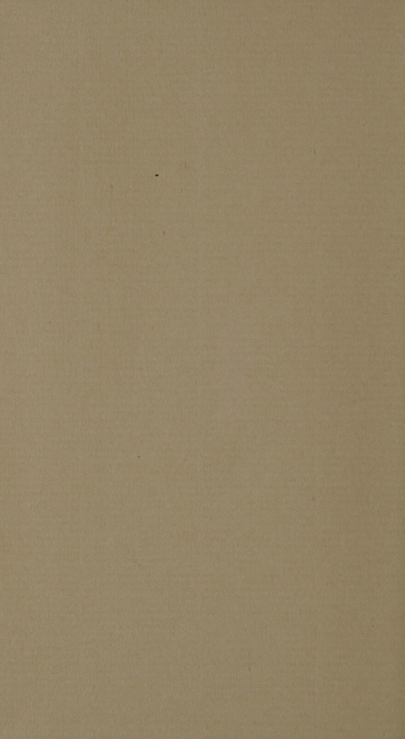 E Hine - J AM bU talo AUF AN